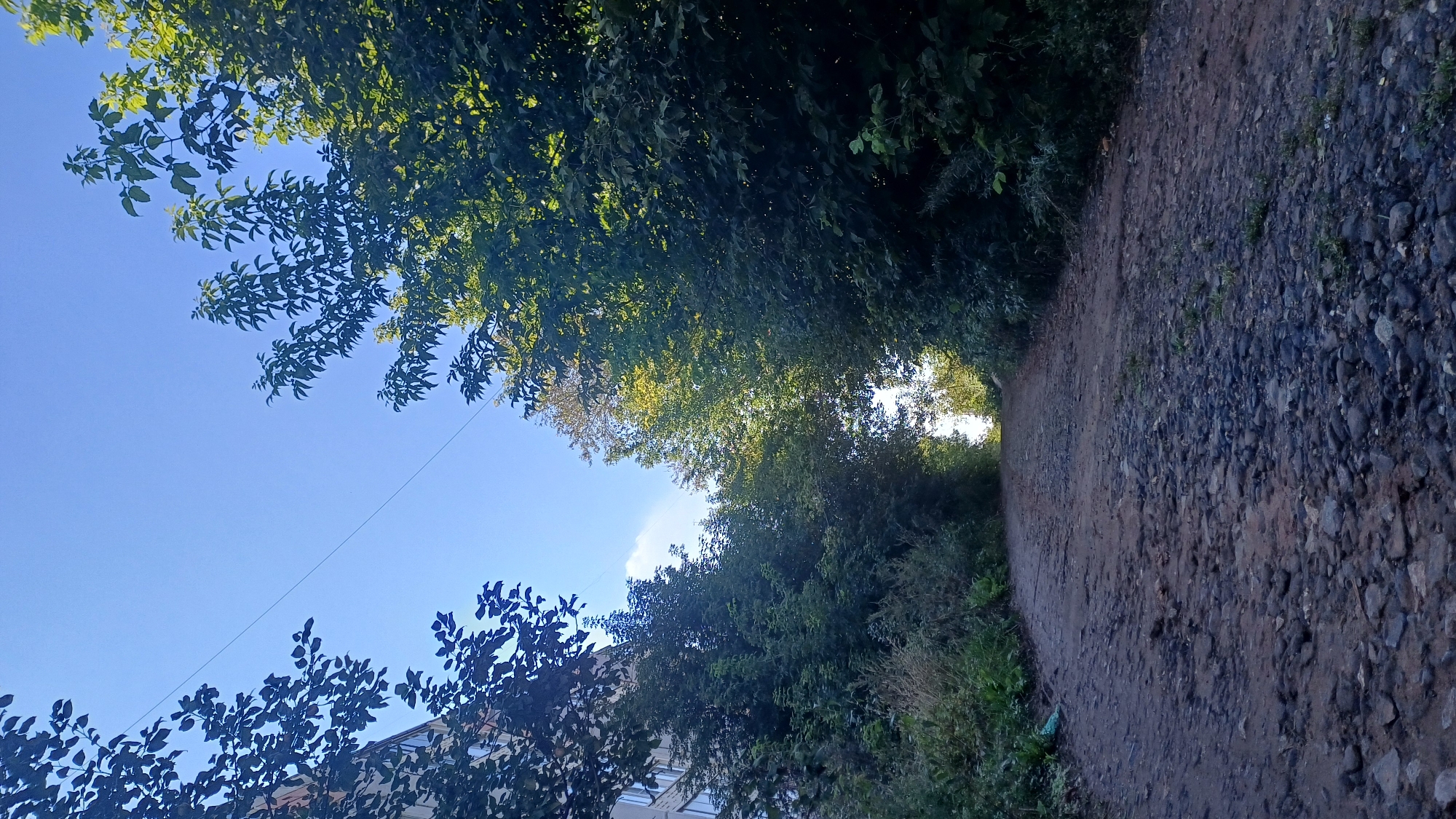 The image depicts a gravel path leading uphill, flanked by dense green trees on either side. On the left, a portion of a multi-story building with light-colored walls and windows is visible, suggesting an urban or semi-urban environment. A thin, dark wire is stretched diagonally across the clear blue sky from the upper left to the middle right of the frame. The path itself is uneven, with loose stones and dirt. The lighting suggests it is daytime, possibly late afternoon, with sunlight filtering through the trees and illuminating the upper part of the path. The overall scene conveys a sense of natural growth encroaching upon a built environment. It is impossible to definitively determine the exact location within Izhevsk, Russia, based solely on this image.