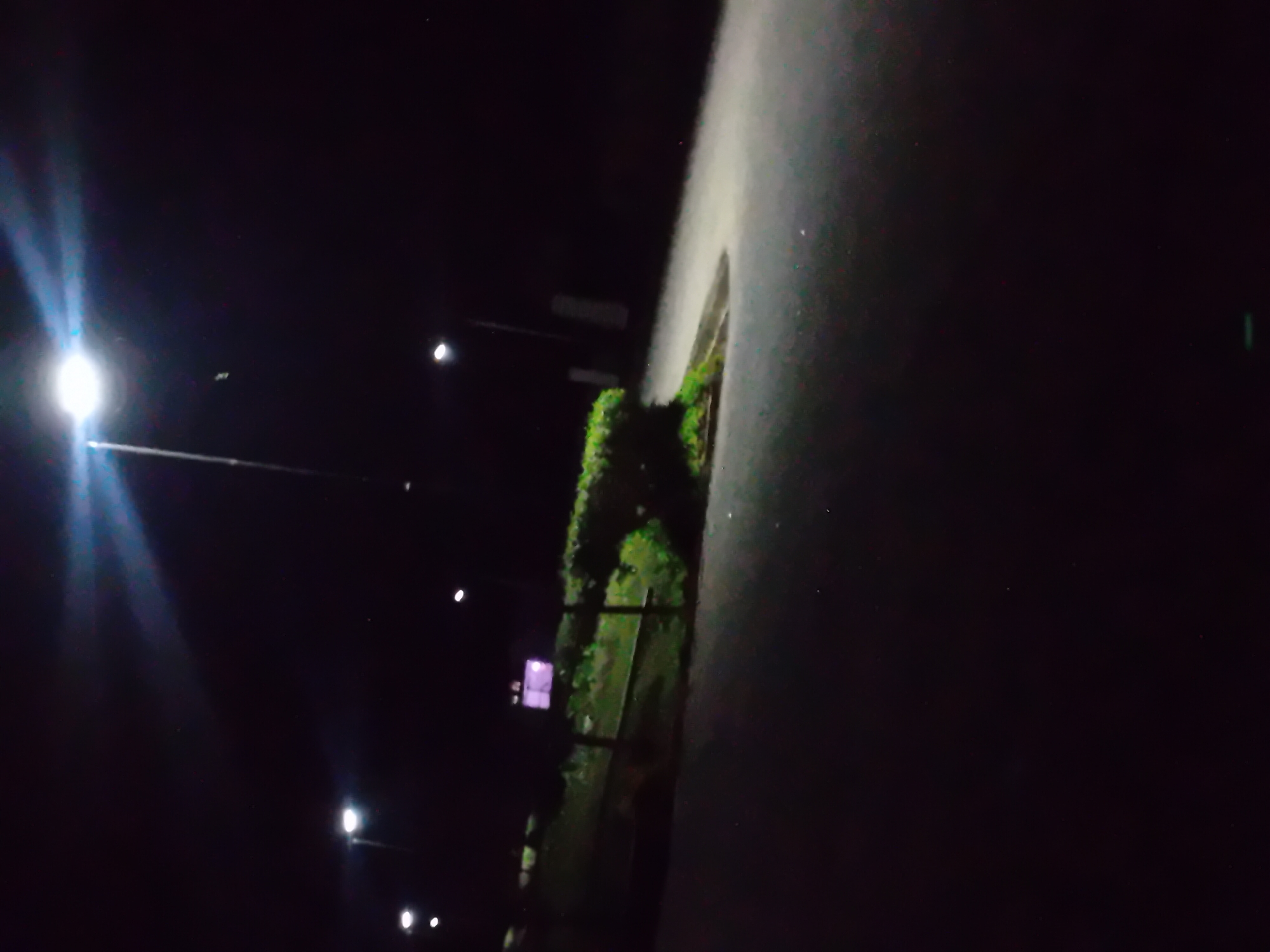 A low-angle shot captures a street scene at night, illuminated by streetlights and possibly an internal light source in a building. In the foreground, a dark asphalt road dominates the lower half of the frame, sloping upwards and to the right. A curb separates the road from a grassy embankment lined with a hedge. Beyond the embankment, a dark-colored fence with vertical posts runs horizontally across the mid-ground. In the background, two streetlights are visible, one in the upper left and another in the center. The streetlight on the left is brighter, casting a distinct lens flare upwards. Further back, a building with a brightly lit, purplish-pink facade is partially visible behind the hedge. The overall environment appears to be a park or a roadside area in an urban setting, characterized by darkness, artificial lighting, and sparse vegetation.