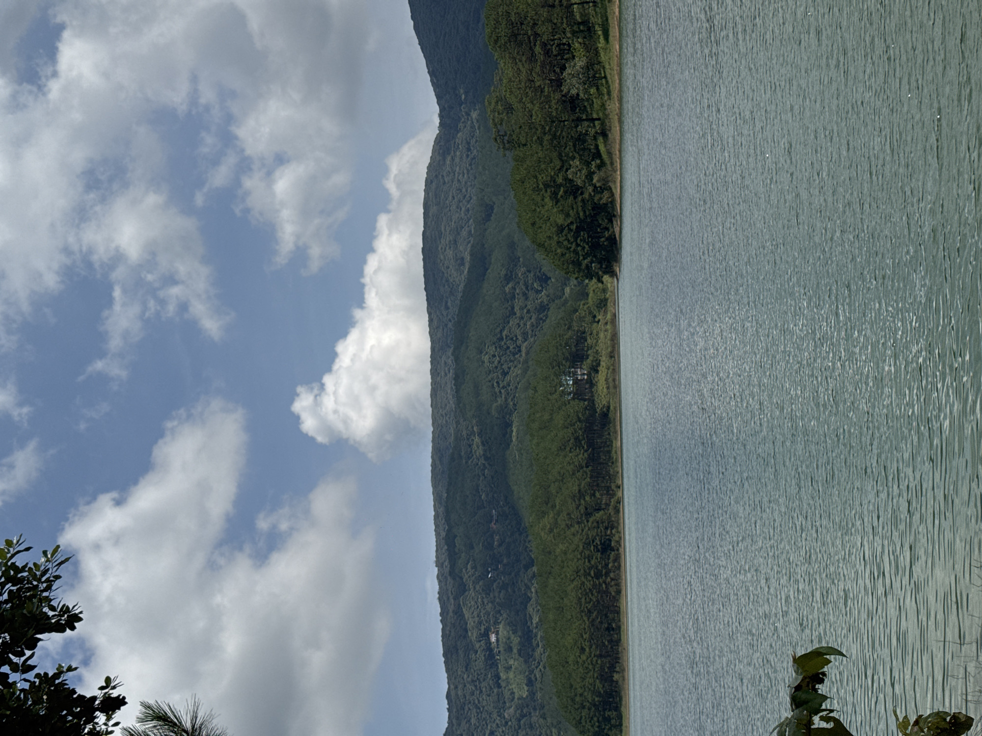 The image shows a view of Tuyen Lam Lake in Da Lat, Vietnam. The lake occupies the right side of the frame with water reflecting the daylight. A line of trees marks the shoreline. Behind the trees, a forested mountain rises into the sky. The left side of the image shows a partially cloudy blue sky. Some foliage is visible in the lower left corner. In the lower right corner are a few leaves from nearby plants.