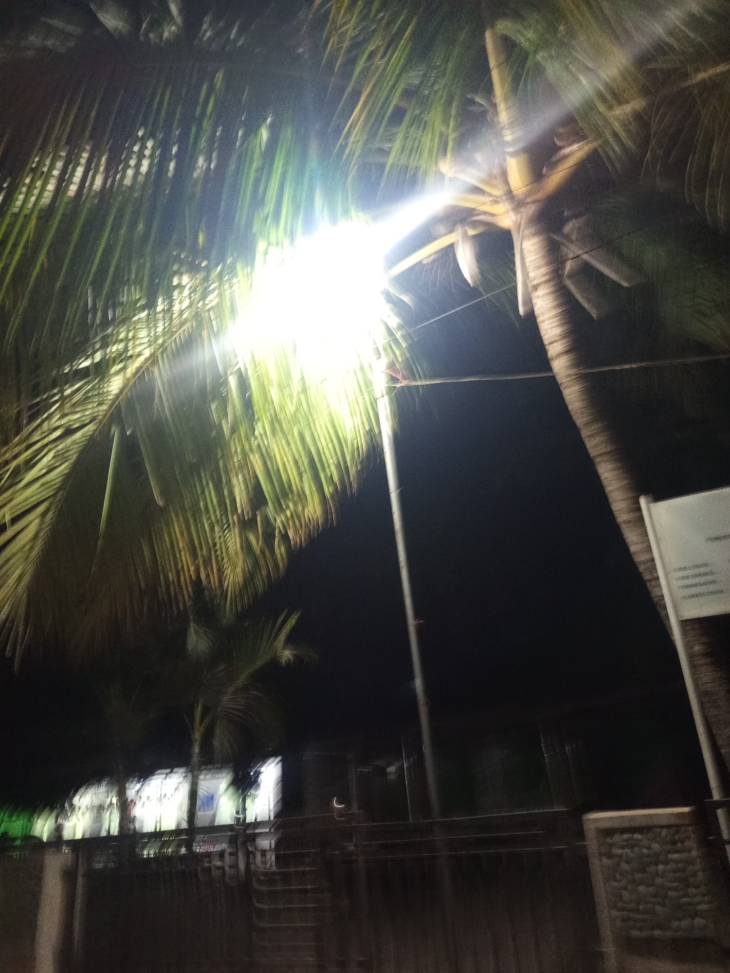 At night in Klekehan, Indonesia, a bright artificial light illuminates the fronds of a palm tree, casting a strong glare. The light appears to be from a street lamp. To the right of the palm tree, a rough-textured pole or post is visible, with a white sign mounted on it. The sign has some text written on it, but it is illegible due to the image quality. In the background, beyond a fence, there are some buildings with illuminated windows, suggesting a residential or commercial area. The overall scene is dark, with the bright light of the lamp being the primary source of illumination.