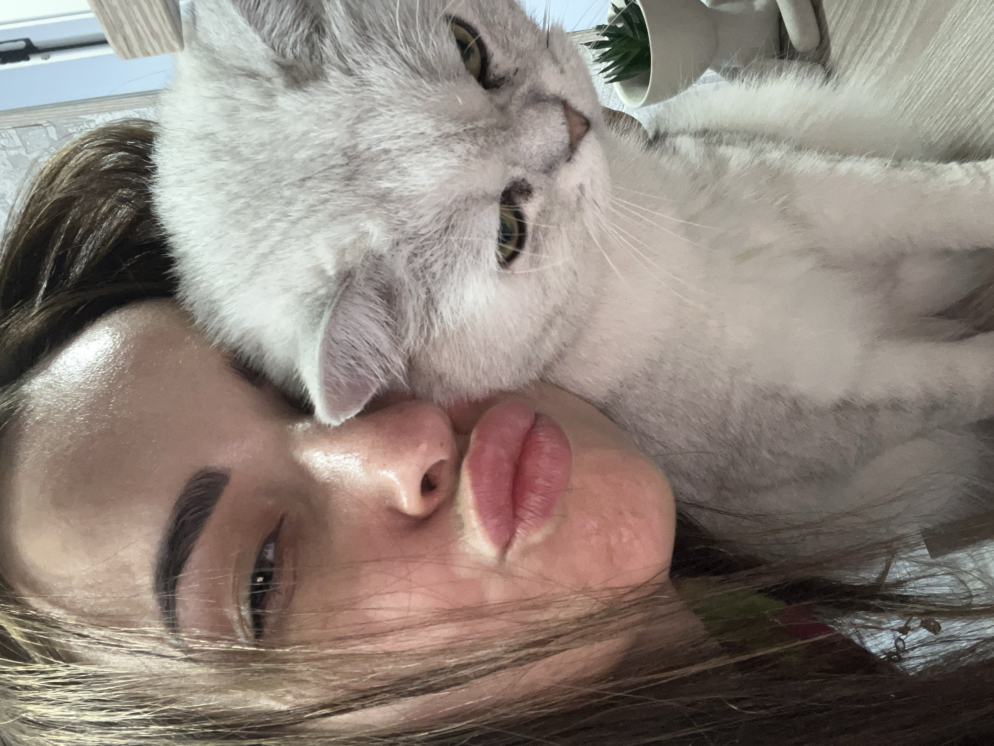 A woman lies on her back, her head facing the camera. A light gray cat rests its head on her forehead, its face close to hers. The woman's eyes are partially closed, and her lips are slightly pursed. Her hair is dark brown and partially covers her face. The cat has yellow-green eyes and white whiskers. In the background, a small potted plant sits on a surface. The location is Unknown, Unknown.
