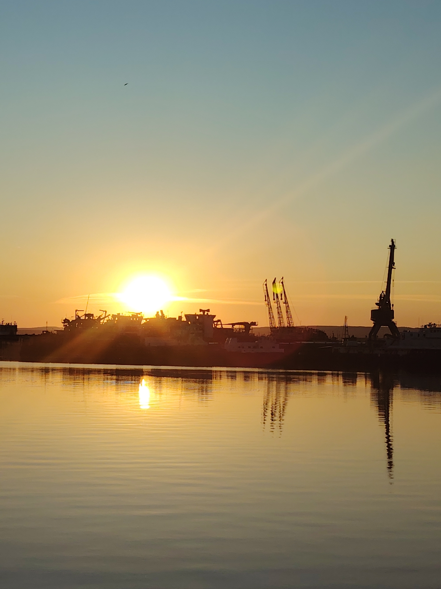 This is a photograph of a harbor at sunset in the city of Chaikovsky, Russia. The sun is setting behind a line of ships and industrial structures, casting a warm, golden light across the scene. The sky transitions from a clear blue at the top to a pale yellow and orange near the horizon. The water in the foreground reflects the colors of the sky and the silhouetted structures on the shore, creating a shimmering effect. Several cranes are visible among the ships, suggesting ongoing port activity. A single bird is visible in flight against the clear sky. The overall impression is one of industrial beauty bathed in the soft light of dusk.