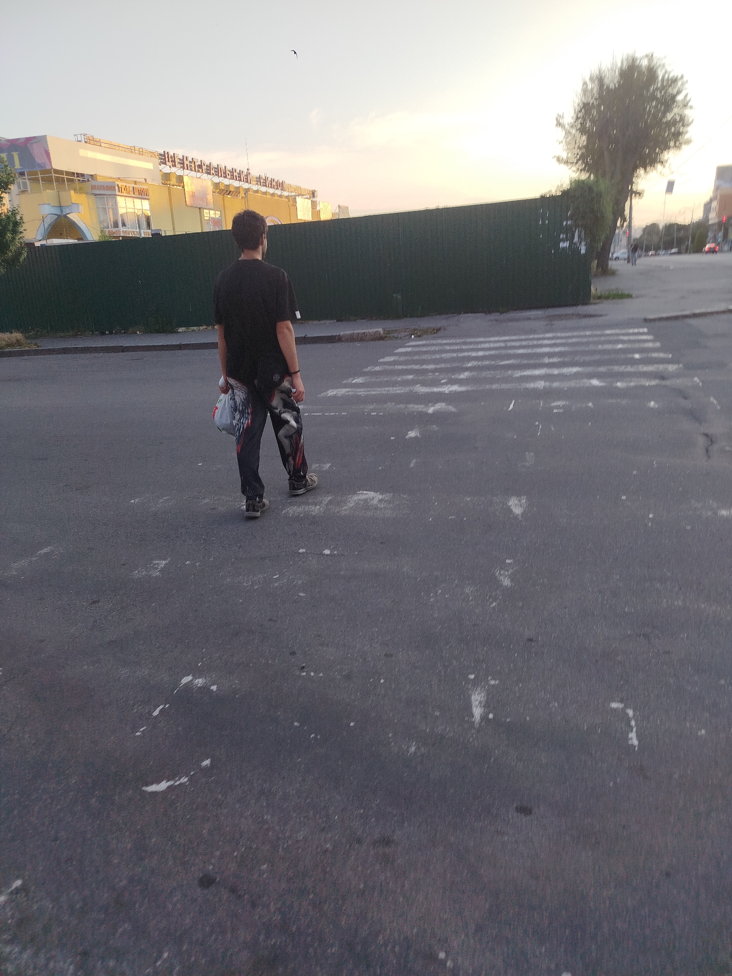 A person walks across a crosswalk on a paved street, facing away from the camera. The individual is wearing a black t-shirt and patterned pants, carrying a white plastic bag in their left hand. In the background, a tall green fence runs horizontally, partially obscuring a yellow building with signage. To the right of the fence, a large tree stands prominently, and beyond that, city buildings and traffic lights are visible. The sky is overcast with a pale, hazy light, suggesting either early morning or late afternoon. The crosswalk markings are faded and appear to have white paint splatters on the asphalt. The scene is located in Vinnytsia, Ukraine.