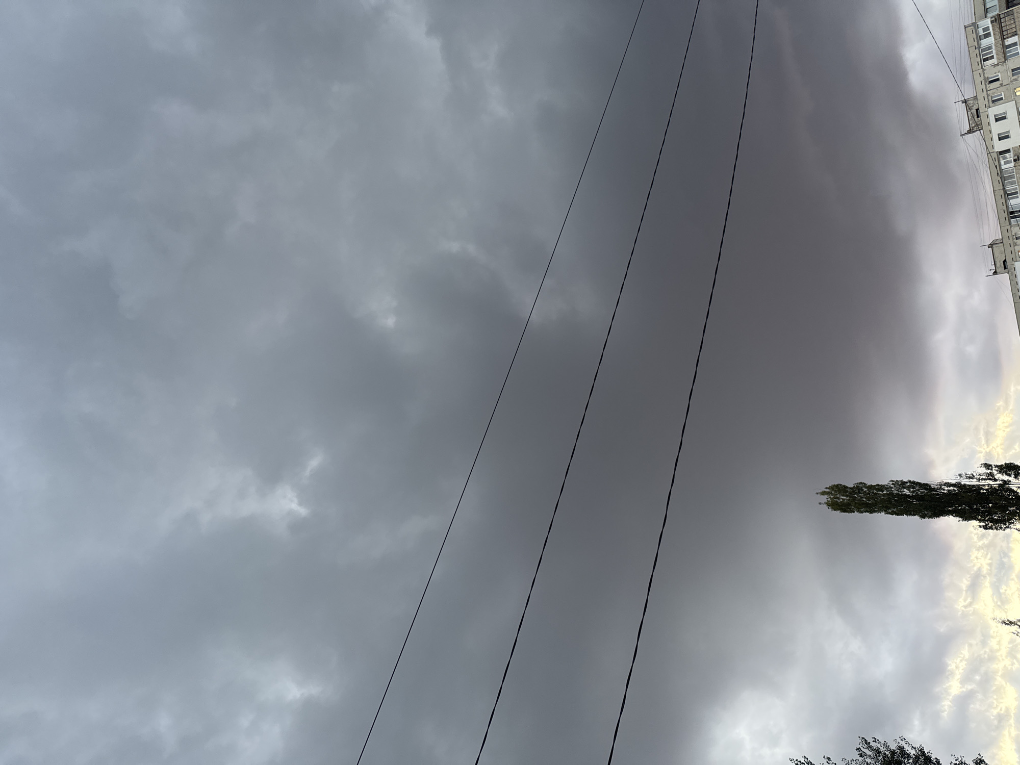 The image captures an overcast sky with thick, dark clouds, suggesting imminent rain or a storm. Three parallel black wires traverse the frame horizontally, dividing the sky. In the lower portion of the image, a tall, slender tree stands prominently on the right, its leaves a dark green. To the left of this tree, another tree, mostly out of frame, is visible. A low-rise apartment building with multiple windows is situated at the bottom edge of the image, indicating an urban setting. The overall atmosphere is somber and moody. The presence of the apartment building suggests the location is within the city of Ufa, Russia.