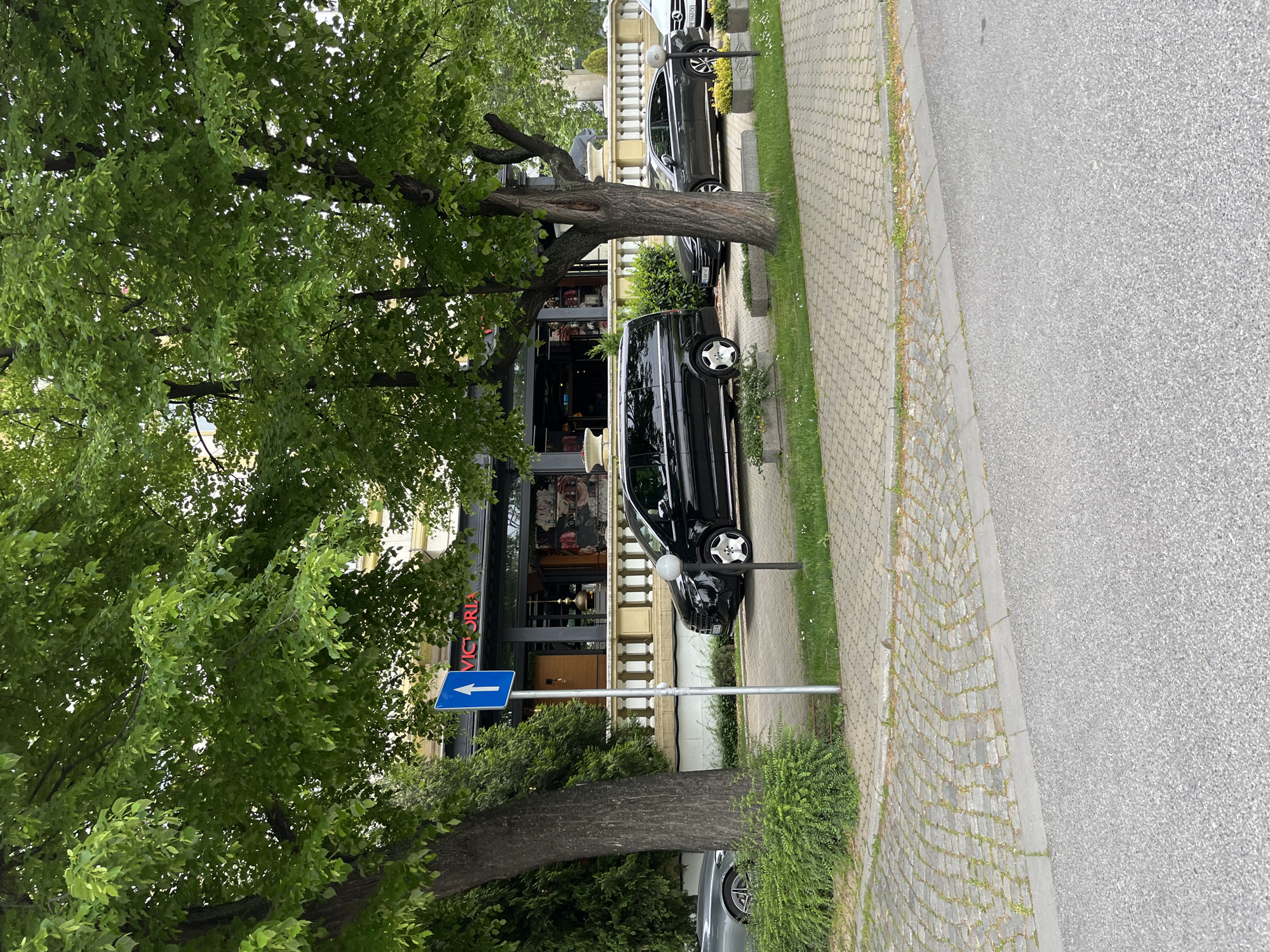 The image captures a street scene in Plovdiv, Bulgaria, featuring the Victoria Restaurant. A blue directional sign with a white arrow pointing left stands prominently near a mature tree. Parked cars line the street, including a black van directly in front of the restaurant and a silver car partially visible. The restaurant's facade is visible, with the name "VICTORIA" displayed vertically in red lettering. The foreground consists of trees and greenery, while the road and a stone-paved sidewalk are present in the right of the frame.