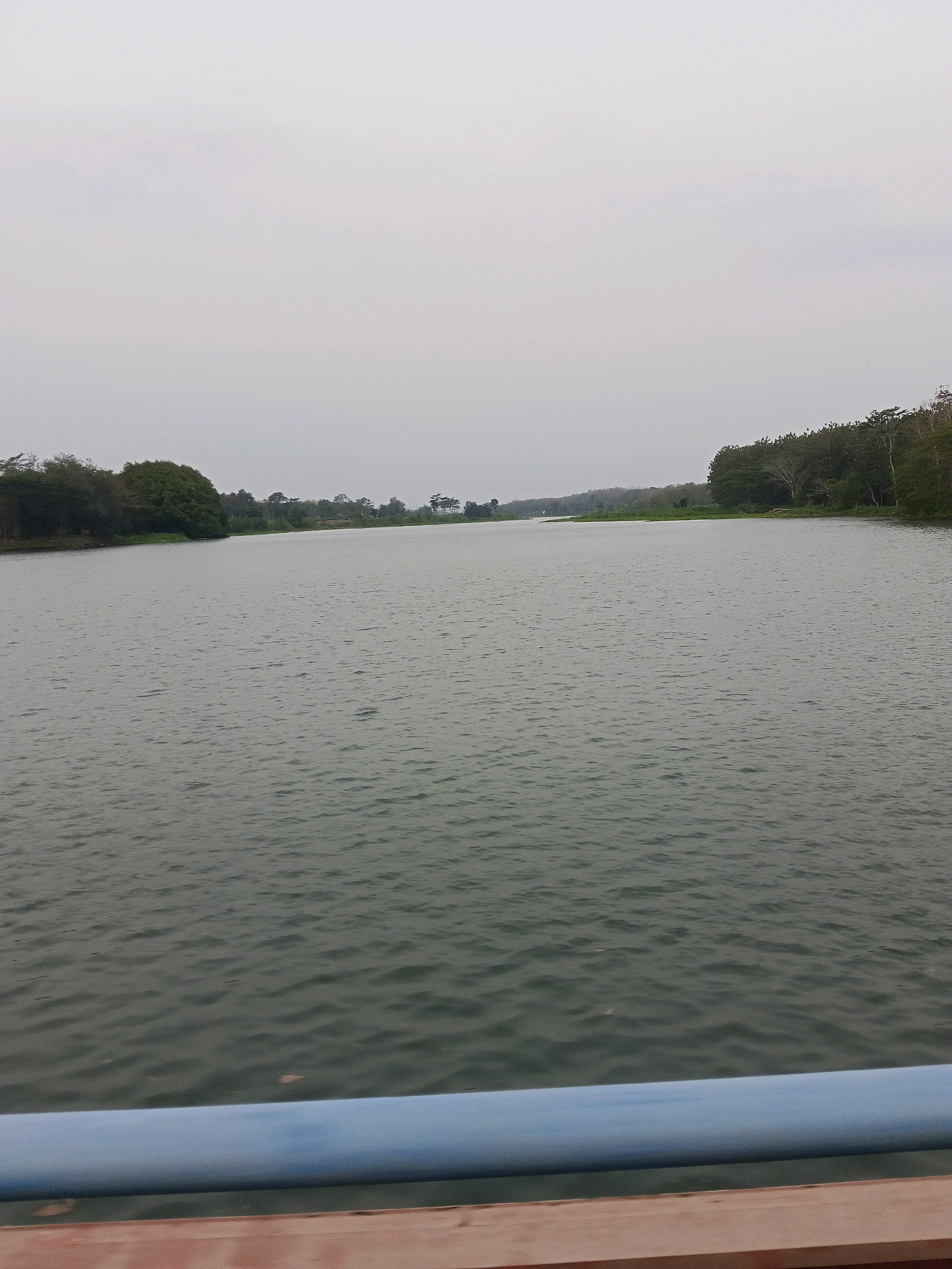 The image shows a wide, calm body of water, likely a lake or a reservoir, under an overcast sky. The water's surface exhibits small ripples. Along the far bank, a dense line of trees and vegetation stretches across the horizon, with some taller trees visible in the distance. In the foreground, a blue railing is partially visible at the bottom of the frame, positioned above a wooden surface. The scene is devoid of any people or visible activity. This appears to be a natural landscape, potentially a recreational area or a body of water within a park setting. The location is identified as Gogodeso, Indonesia.