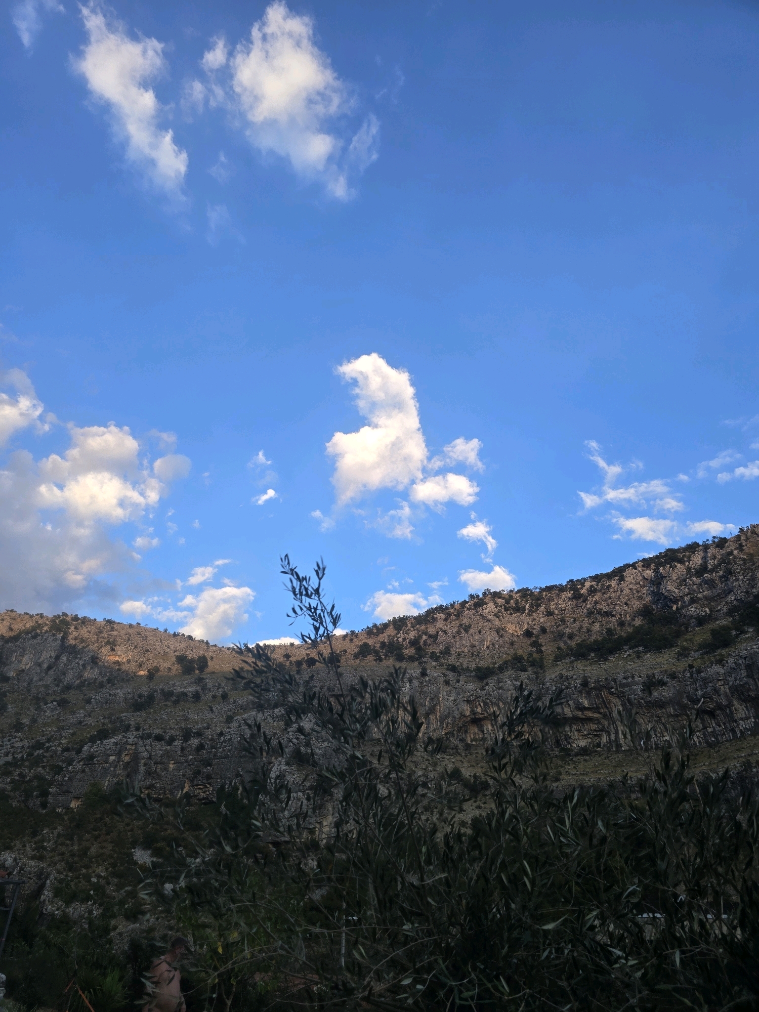 The image captures a scenic view of a rugged, rocky mountainside under a bright blue sky dotted with fluffy white clouds. The mountainside is sparsely covered with dark green vegetation, and a thin layer of trees lines the top ridge. In the foreground, a dark green, leafy branch of a tree or bush obscures the lower portion of the frame, casting a shadow and creating a sense of depth. Partially visible in the lower left quadrant, behind the foliage, is a person. The overall scene suggests an outdoor natural environment, likely a rural or mountainous area, possibly in or near Podgorica, Montenegro, given the context provided. The lighting indicates it could be late afternoon or early morning, with sunlight highlighting the upper portions of the mountain.