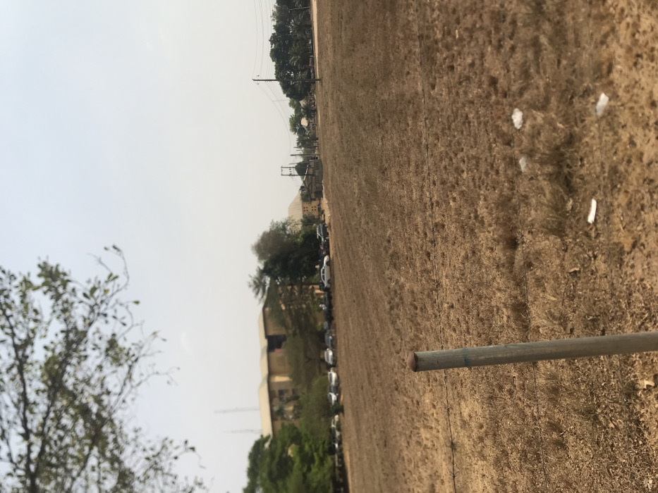 The image, taken in Umudike, Nigeria, captures an expansive outdoor landscape under a bright, hazy sky. The foreground and much of the midground are dominated by a large field of dry, light brown vegetation, suggesting a period of drought or a dry season. Scattered pieces of white debris are visible on the parched ground in the foreground. A grey metallic pole stands vertically on the right side of the frame, partially obscuring the field.
In the distance, along the left side of the horizon, a cluster of light-colored buildings is visible, interspersed with trees of varying foliage density. A line of cars, mostly light-colored, are parked along what appears to be a road or path leading towards these structures. Utility poles and power lines are also visible in the background. A tree with delicate, lighter green branches is partially cropped into the far left foreground.
The sky is a uniform, bright white, indicating daytime, possibly with atmospheric haze common during dry seasons or the Harmattan. No specific activities or events are discernible, and no people are visible in the scene, which conveys a sense of stillness. No visible text is present.