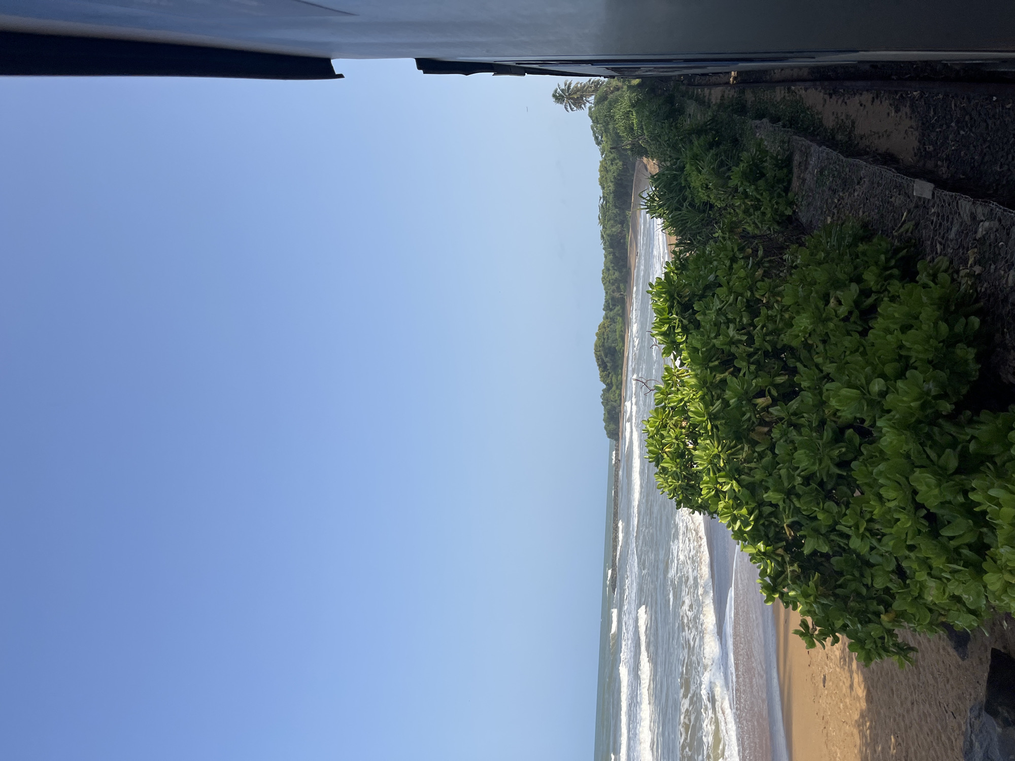 A medium shot captures a view from a train window, looking out at a tropical coastline. The sky is a clear, pale blue, with no clouds visible. The ocean is a muted blue-green, with gentle waves rolling onto a sandy beach. Lush green vegetation, including bushes and trees, lines the edge of the beach. A train car is visible on the right side of the frame, its dark blue exterior taking up a significant portion of the image. The scene is devoid of people or any discernible activity. The image appears to be taken during daylight hours, with soft sunlight illuminating the landscape.