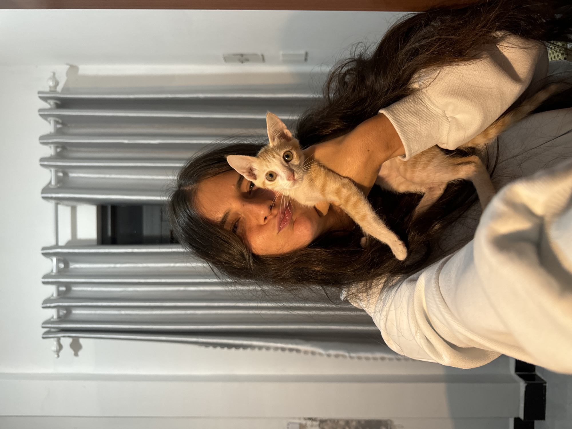 The image features a young woman holding a light-colored kitten. The woman has long, dark hair and is wearing a light-colored sweatshirt. The kitten is small and has orange and white markings. They appear to be in an indoor setting, possibly a bedroom or living area, with silver-colored blinds in the background. The blinds suggest a window is present, and the lighting indicates it might be daytime, though the exact time is not definitively clear. The woman is looking towards the camera with a playful expression, and the kitten is also looking at the camera. The overall mood of the image is affectionate and casual. The context provided places the scene in Mũi Né, Vietnam. There is no visible text in the image.