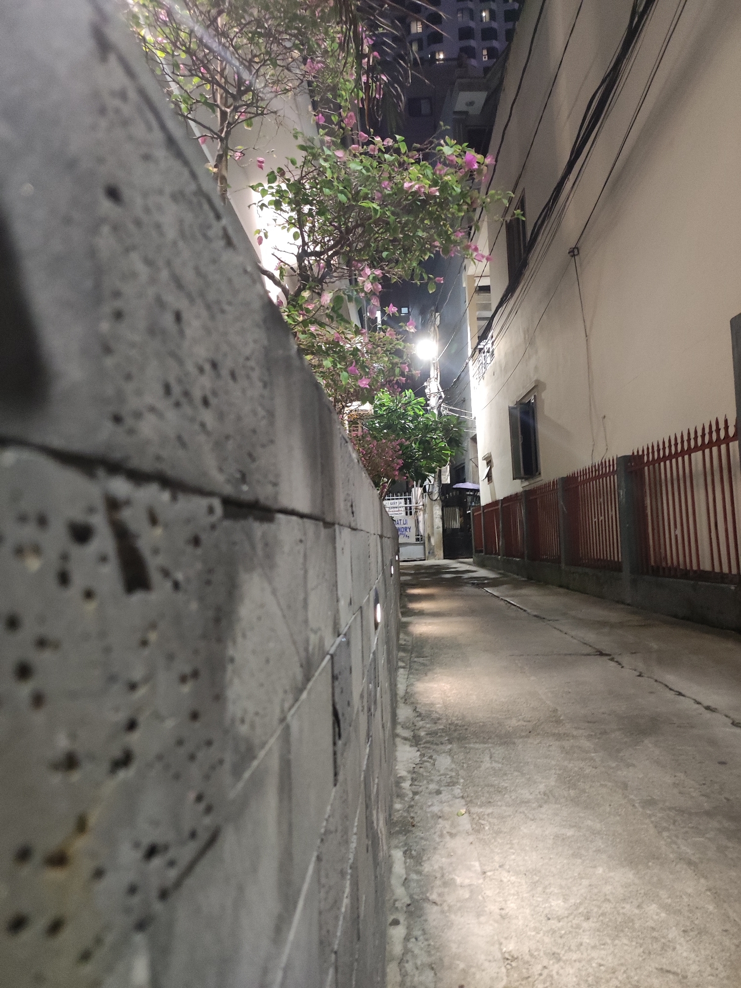 This image depicts a narrow alleyway in Nha Trang Ward, Vietnam, at night. The scene is illuminated by artificial lighting, casting shadows and highlighting the textures of the environment.
On the left side of the alley, a rough, textured concrete wall dominates the foreground, its surface marked with numerous small, irregular indentations. Beyond the wall, a flowering tree with delicate pink blossoms and green leaves is visible, its branches reaching upwards and partly obscuring the building behind it. A street lamp is positioned to the left of the tree, providing a bright light source.
The alleyway itself is paved with concrete, showing signs of wear and tear, with cracks and variations in surface texture. The right side of the alley is bordered by a building with a light-colored facade. A prominent feature on this side is a red metal fence with decorative vertical bars, stretching along the length of the building. A single, dark-framed window is visible above the fence. Above the building, a dense network of black electrical wires crisscrosses the sky, characteristic of urban Vietnamese environments. In the distance, the upper floors of a multi-story building are visible against the night sky, with lights on in some windows.
There is no specific activity or event taking place; the image captures a still moment in the alley. The overall mood is somewhat quiet and potentially solitary, enhanced by the nighttime setting and the confined nature of the alley.
A small sign with text is partially visible on the left side of the alley, attached to the wall. Although the text is largely obscured and difficult to read, elements like "GIAT UI" and "NDRY" suggest it might be related to a laundry service.