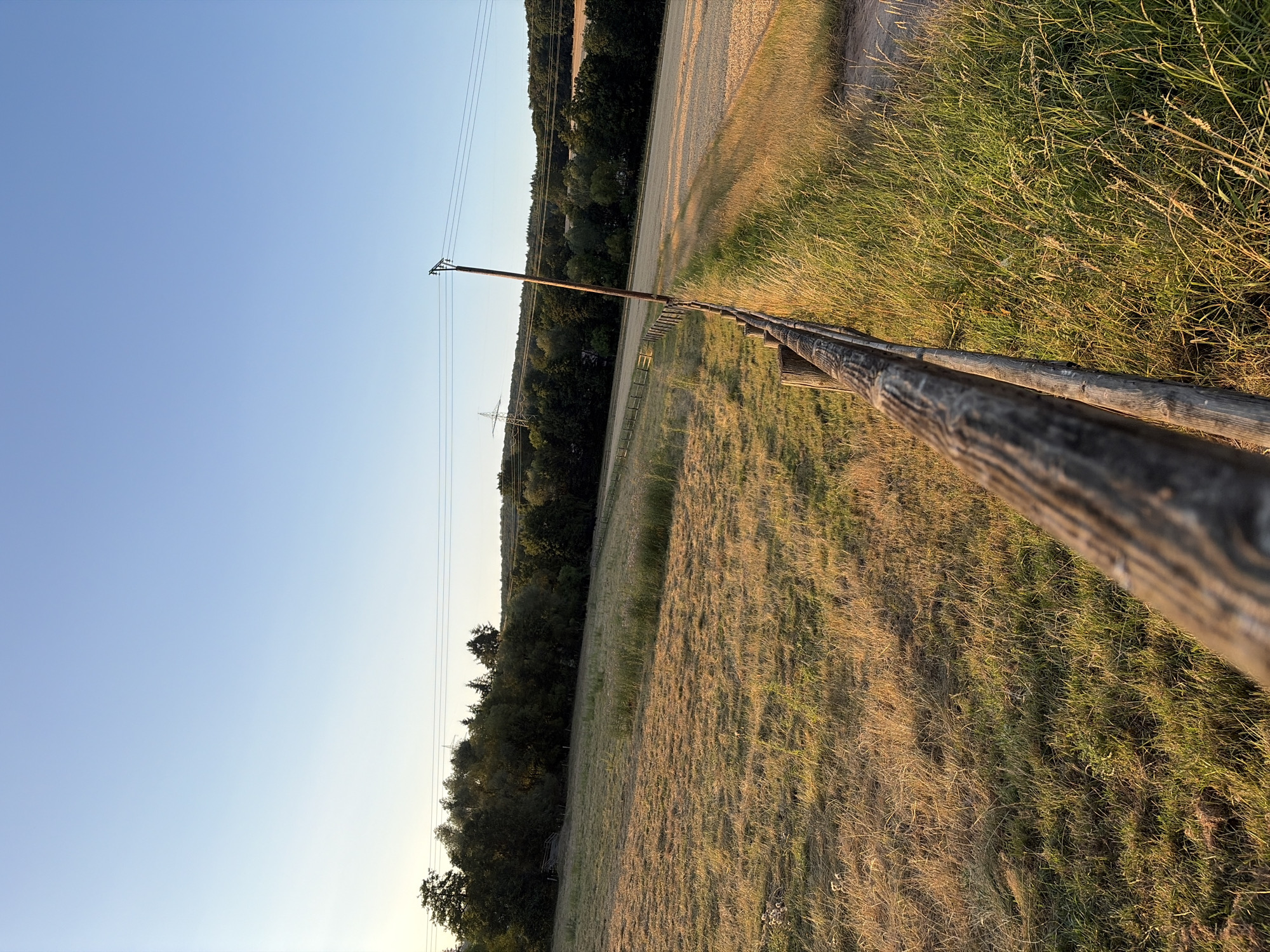 A landscape image captures a rural scene at dusk, likely in a European countryside. In the foreground, a weathered wooden fence runs diagonally from the lower left to the upper right corner of the frame, its texture and grain clearly visible. To the left of the fence is a dry, grassy field, appearing golden and sparse, suggesting it is late summer or early autumn. To the right of the fence, tall, green grass grows, catching the warm light of the setting sun. Beyond the fields, a line of dark green trees forms a dense forest, extending across the mid-ground. In the distance, rolling hills are visible, and a few power lines crisscross the sky, supported by a tall, slender utility pole situated near the fence. The sky is a clear, pale blue, transitioning to a lighter shade near the horizon. The overall impression is one of tranquility and natural beauty, bathed in the soft light of the golden hour.