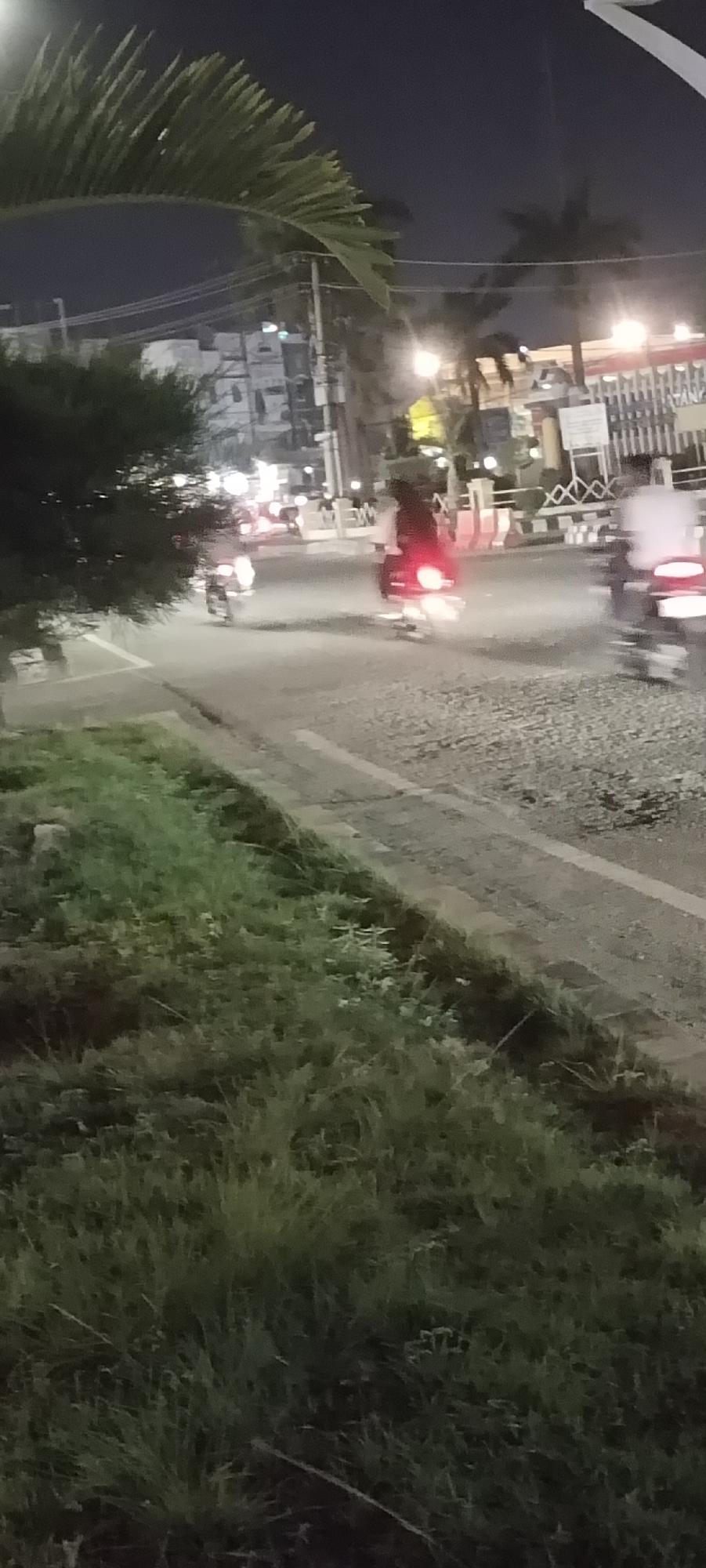 At night in an unknown city, several motorcycles travel on a road. A grassy area lines the lower half of the scene. A palm tree partially obscures the upper left of the view. Buildings and streetlights line the background.