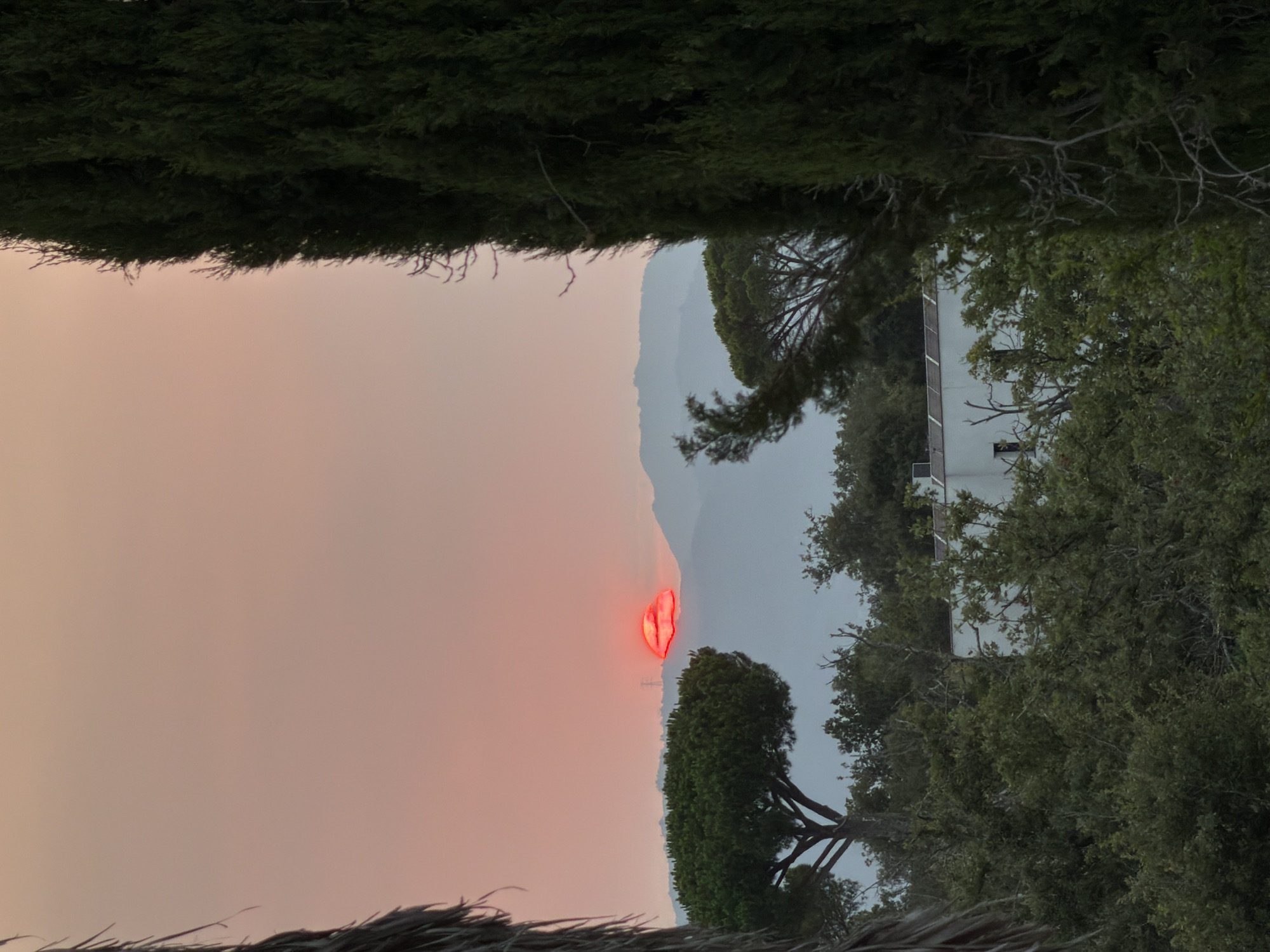 The image captures a sunset in Vallcanera Parc, Spain, framed by foliage on the left and a tall cypress tree on the right. In the distance, rolling hills are silhouetted against a hazy, pink-orange sky. A bright red, unusual cloud formation, resembling lips, is visible near the horizon, with the setting sun behind it. A single electrical pylon is discernible behind the red cloud. In the foreground, a white building with solar panels is partially obscured by dense green trees and shrubbery.