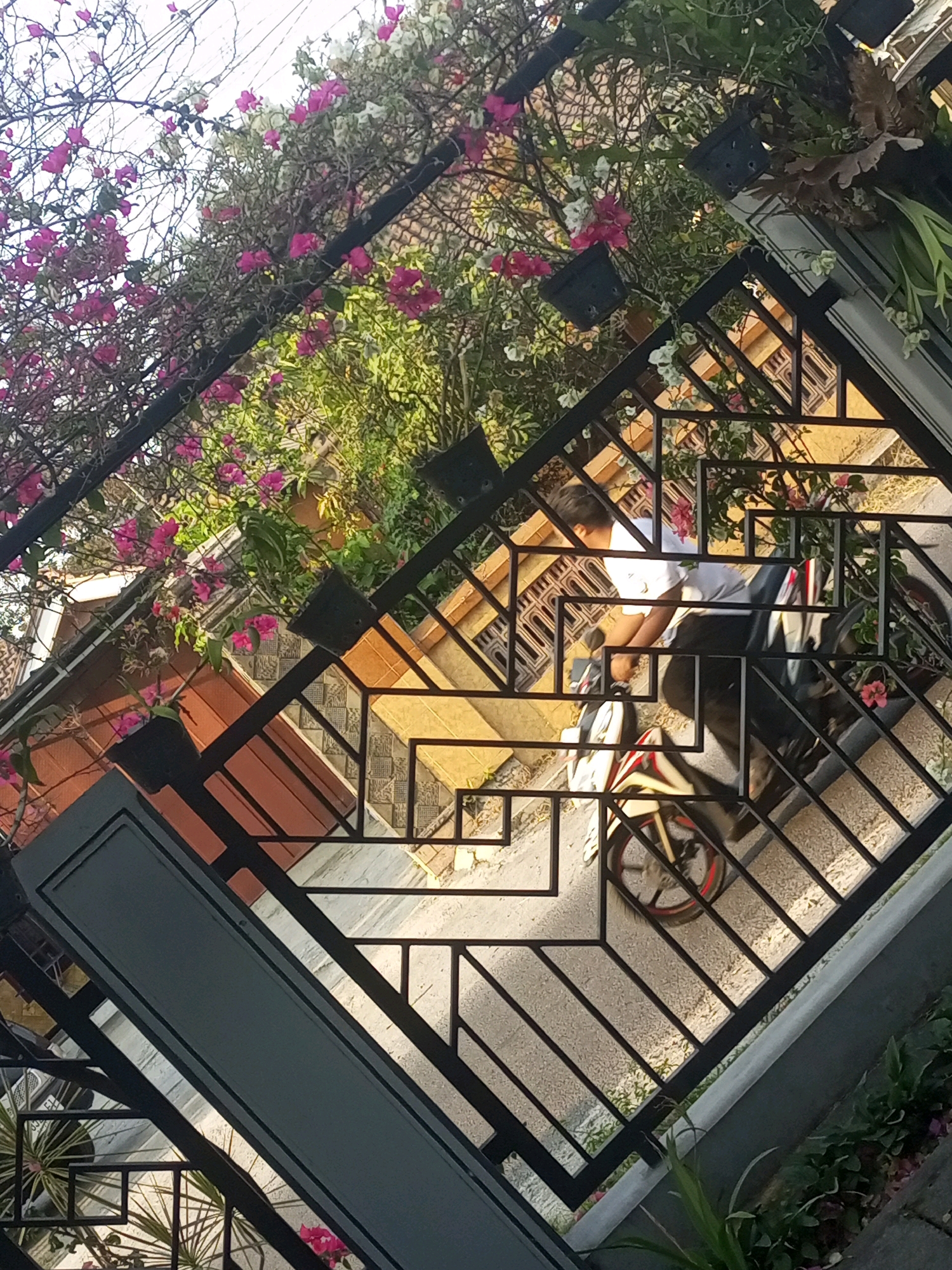 In Ngasem, Indonesia, a person wearing a white t-shirt and dark pants is seen from behind, preparing to mount a parked motorcycle. The motorcycle is black with red and white accents. The scene is framed by a black metal gate with an abstract geometric design, behind which a tiled wall and lush green foliage with pink and white flowers are visible. The ground is paved with a light-colored gravel-like material.
