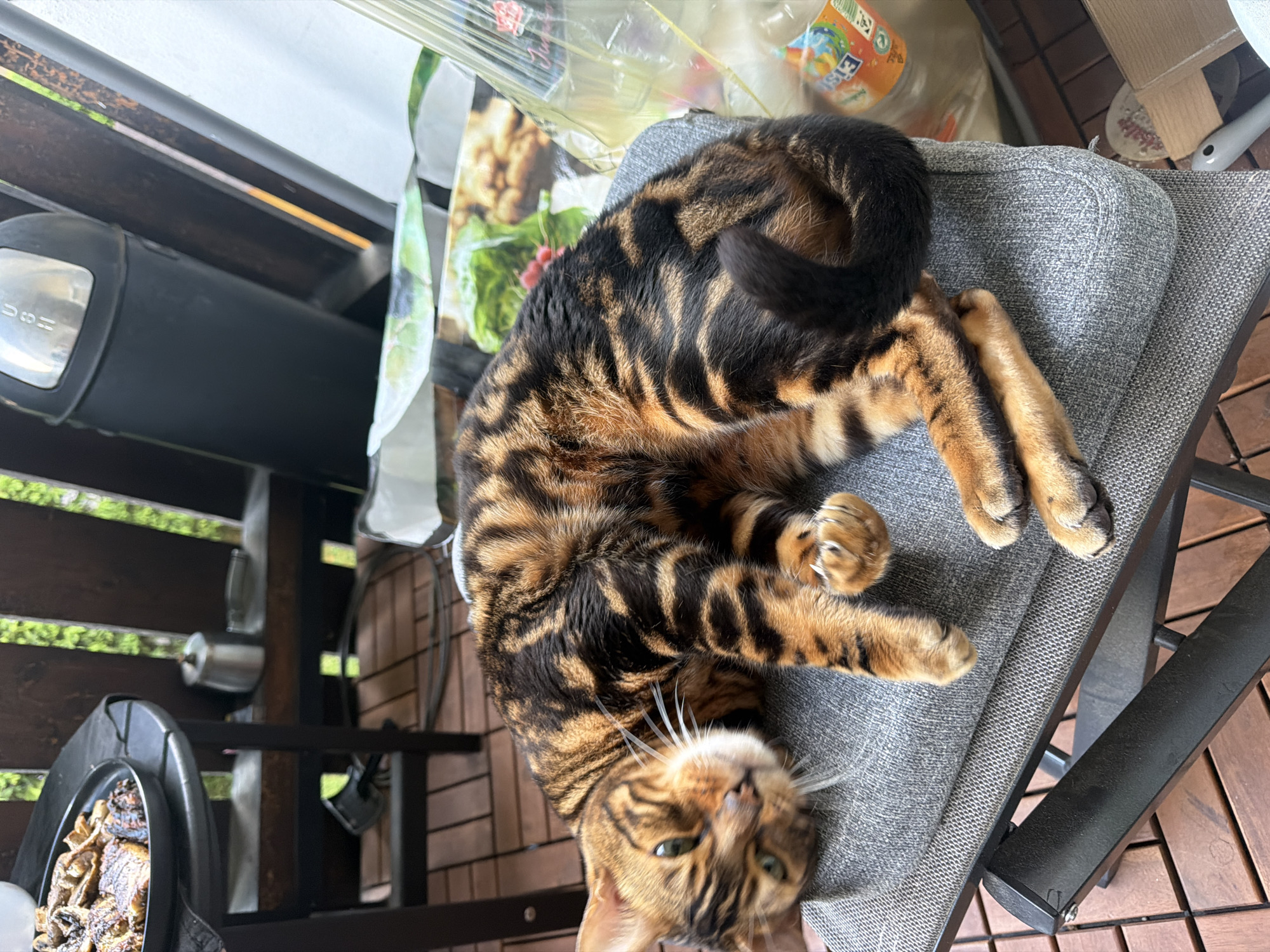 A Bengal cat with distinctive black and orange-brown striped and spotted fur is the central subject, lying on its back on a gray outdoor chair. The cat's head is tilted upwards, revealing its green eyes and white whiskers, as it looks directly towards the viewer with an alert yet relaxed expression. Its front paws are curled near its face, and its belly is exposed.
The setting appears to be an outdoor balcony or patio, indicated by the slatted wooden decking on the floor and a metal railing structure to the left. To the immediate left of the cat, a black outdoor grill or cooking appliance is visible, featuring a silver button with the word "PUSH" clearly legible. Below this appliance, a black tray or pan holds a quantity of cooked food, possibly grilled mushrooms or other vegetables. In the background, behind the chair and cat, various plastic bags and packaging are scattered, including an orange can with the word "Fanta" partially visible. Natural, bright daylight illuminates the scene, suggesting it is daytime with clear weather. The cat's relaxed posture suggests it is lounging or resting.