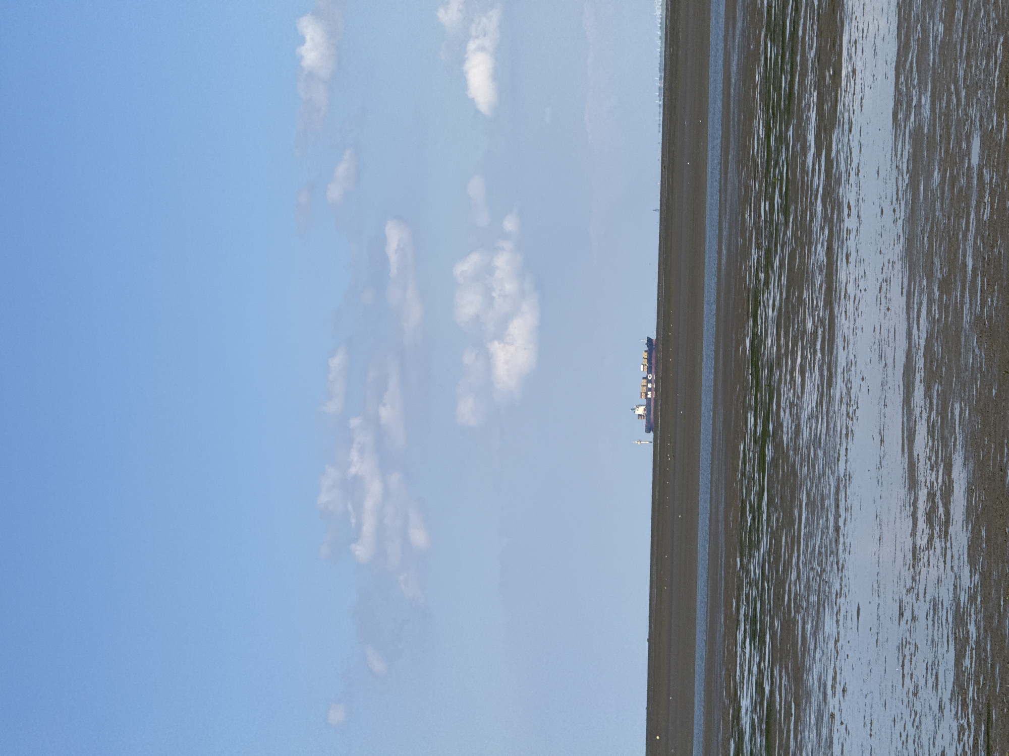 A cargo ship with the letters "MSC" visible on its side is sailing on a body of water under a clear sky with scattered white clouds. The ship is centered horizontally in the frame and is positioned in the distance. In the foreground, there is a muddy or sandy shore, partially covered by shallow water, indicating a low tide. The environment appears to be coastal, possibly in or near Butjadingen, Germany, given the presence of a large cargo ship and a tidal landscape.