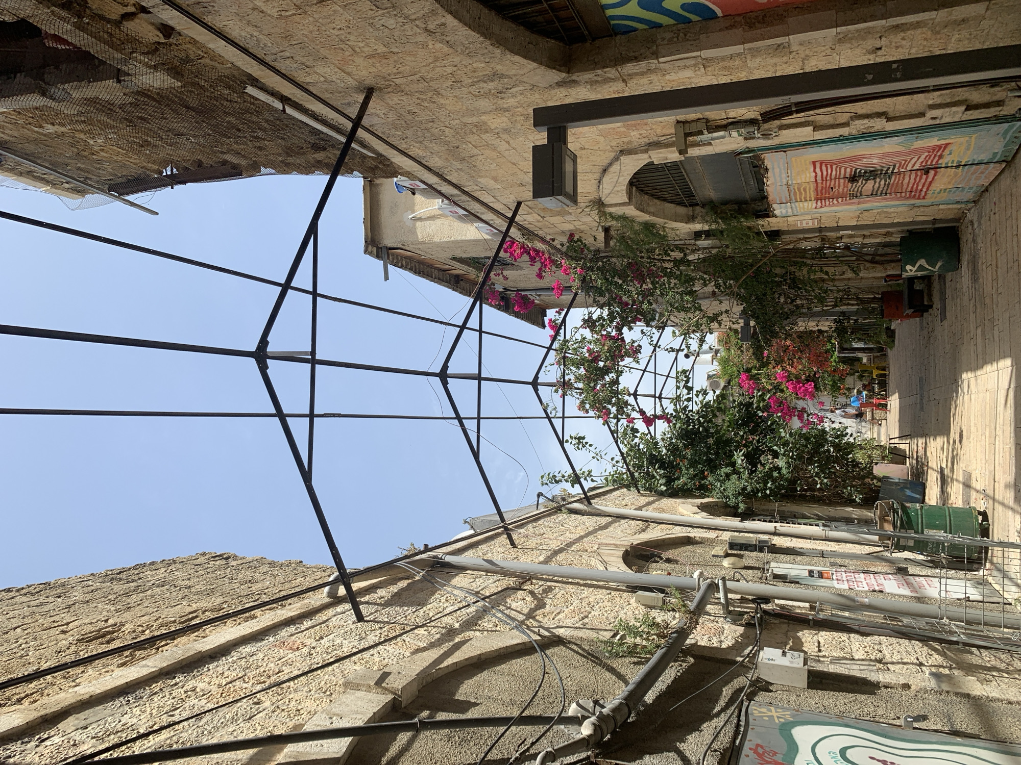 The image shows a narrow street in Tel Aviv, Israel. The buildings on either side are constructed of light-colored stone. A metal framework spans the street overhead. Pink bougainvillea flowers are visible, growing on one side of the street. Various pipes and wires run along the walls of the buildings. A green trash bin is visible on the right side of the street.