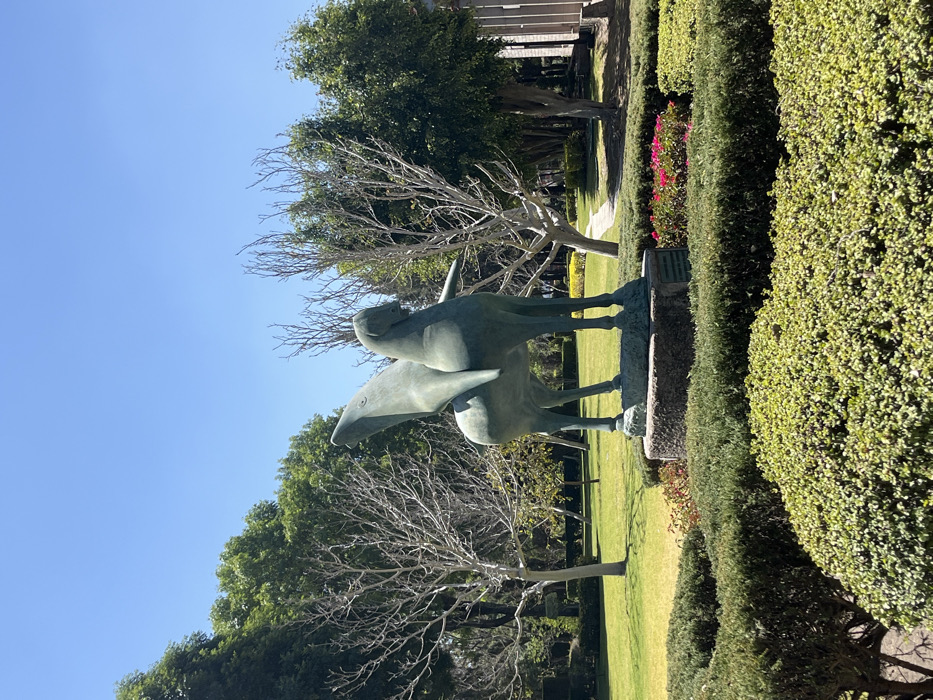 The image depicts a bronze statue of a stylized winged horse, possibly Pegasus, with a green patina, situated in a landscaped garden area in San Andrés Cholula, Mexico. The statue stands centrally on a rough-hewn stone pedestal, which is encircled by manicured green hedges. Behind the hedges and to the right of the pedestal, a cluster of red flowers is visible. The immediate surroundings consist of a well-maintained green lawn. In the background, a variety of trees are present; some are deciduous with white, bare branches, while others are evergreen with dense green foliage. A narrow, light-colored paved pathway curves through the grassy area behind the statue. On the far right, a partial view of a building with vertical structural elements is visible. The sky is clear and blue, indicating a bright, sunny day, with strong sunlight casting distinct shadows. No people or animals are present, and there are no discernible actions or interactions occurring within the scene.