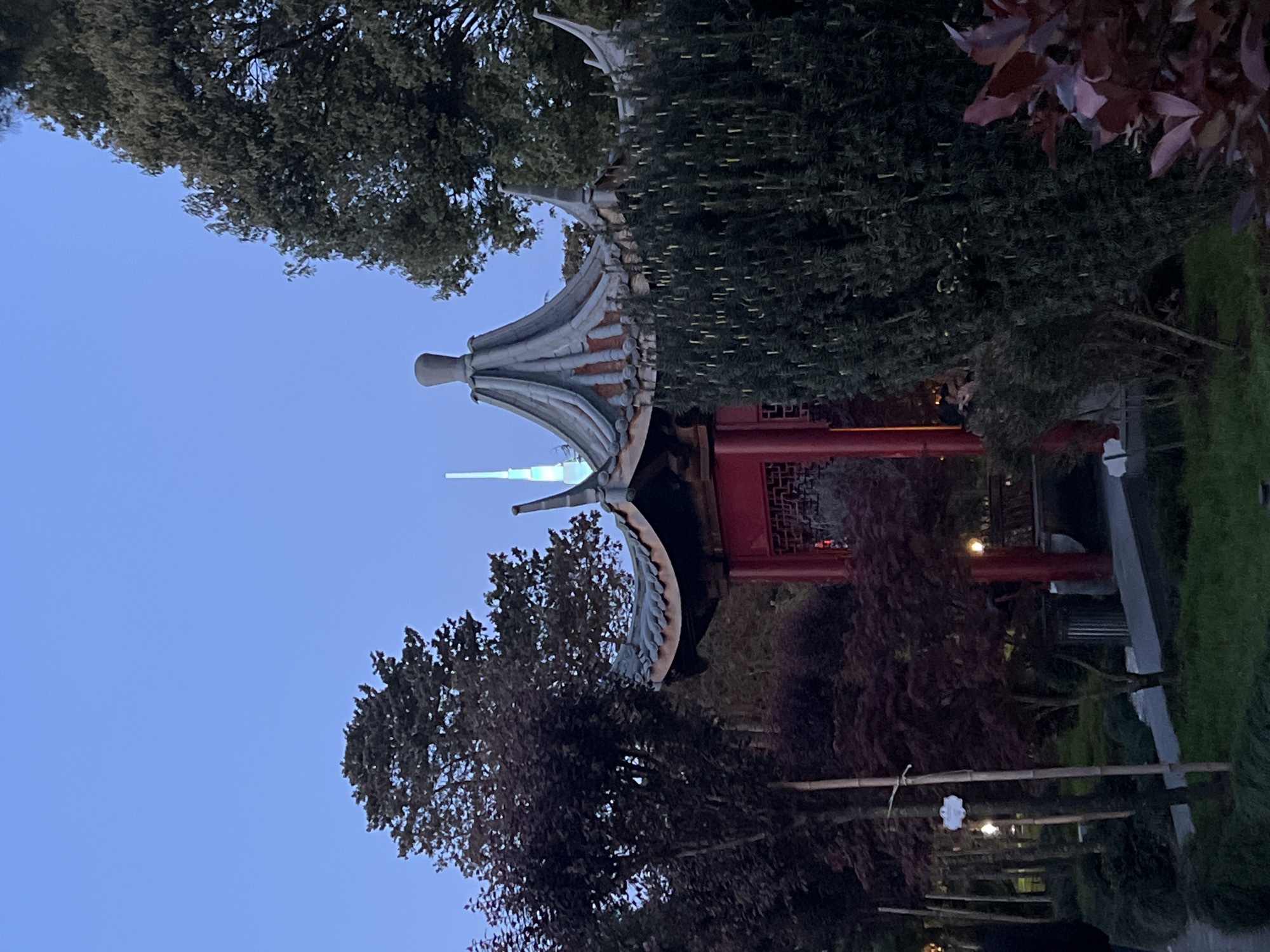 This image captures a serene park or garden scene at dusk, focusing on a distinct architectural structure with East Asian influences.
The central subject is a beautifully crafted pagoda-style roof, characterized by its multi-tiered, upward-curving eaves and ornate, possibly tiled, grey and reddish-brown surfaces. Rising prominently behind and slightly to the left of the pagoda roof is a slender, luminous spire or tower, contrasting modern design with the traditional architecture. To the right of the pagoda, a segment of a red structure, possibly a pavilion, is visible, featuring intricate latticework patterns.
The scene is framed by abundant foliage. Dense, dark green trees with thick canopies occupy the upper and left portions of the frame. In the lower right, there's a mix of green shrubs and darker, possibly reddish-brown, leafy plants, suggesting varied landscaping. A paved pathway and a subtle bamboo-like fence or railing can be glimpsed towards the bottom right.
The time of day is clearly dusk or early evening, as indicated by the deep, clear blue sky and the soft, ambient lighting. There is no visible human activity, lending a peaceful and tranquil atmosphere to the setting. The architectural style, reminiscent of East Asian design, creates an intriguing focal point within what appears to be a landscaped park, possibly in Batumi, Georgia, given the context. There is no visible text in the image.