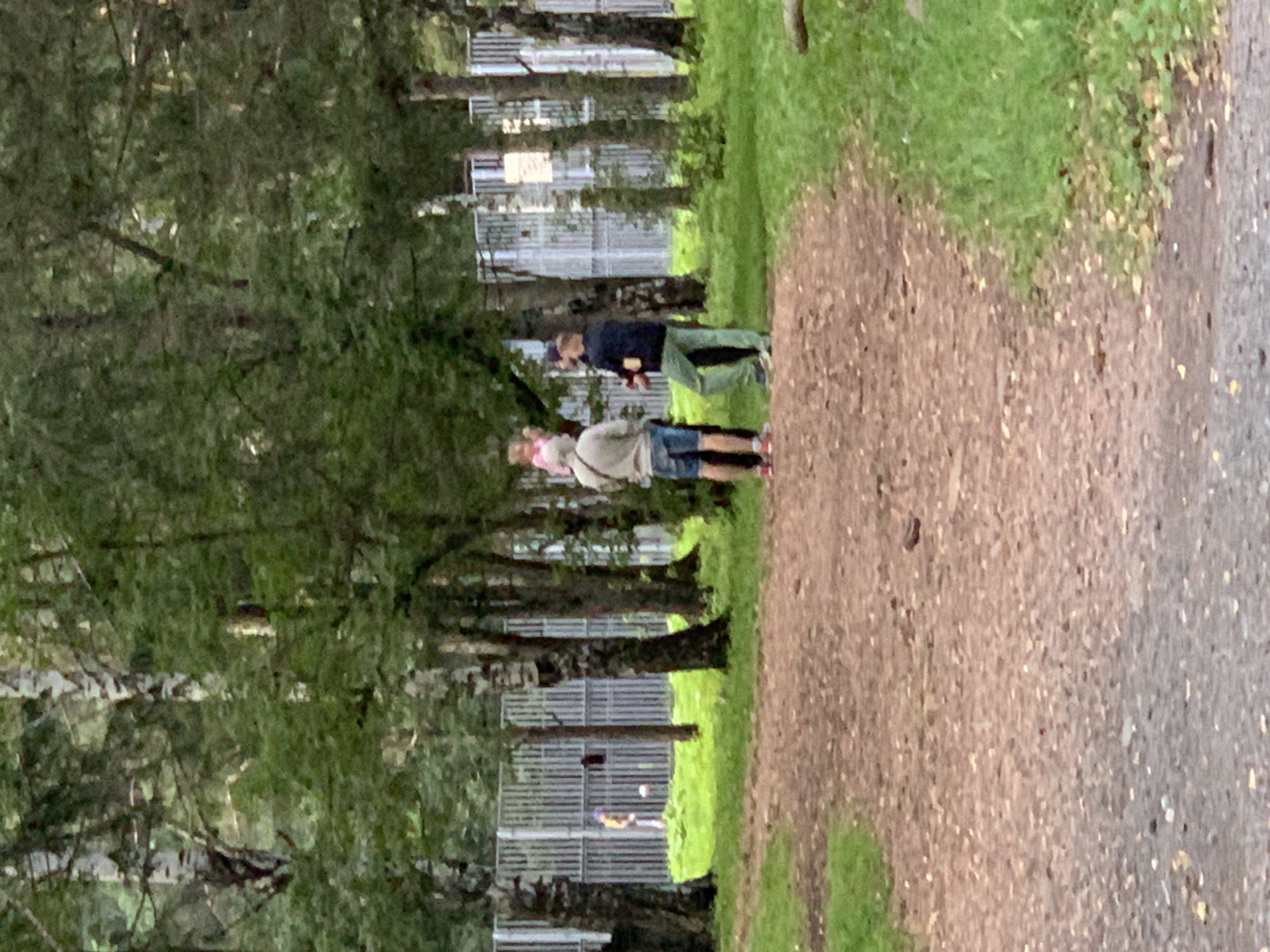The image depicts a group of people in a park-like setting with trees and a gravel path. In the foreground, the path is predominantly composed of reddish-brown gravel with scattered leaves. To the right of the path, lush green grass is visible. In the mid-ground, three individuals are standing on the path. The person on the left is wearing a light-colored hoodie and blue shorts. To their right, another person is wearing a dark jacket and green pants. Between these two individuals, a young child with pink clothing appears to be on the shoulders of the person in the hoodie. Further in the background, a light-colored metal fence runs horizontally across the scene. Beyond the fence, there is a patch of green grass and several trees. On the far left of the background, a person in a yellow jacket is visible near a spherical object that resembles a ball. The overall environment suggests a recreational area within a wooded environment, consistent with a park. The specific location in Prokopyevsk, Russia, is not discernible from the visual elements alone.