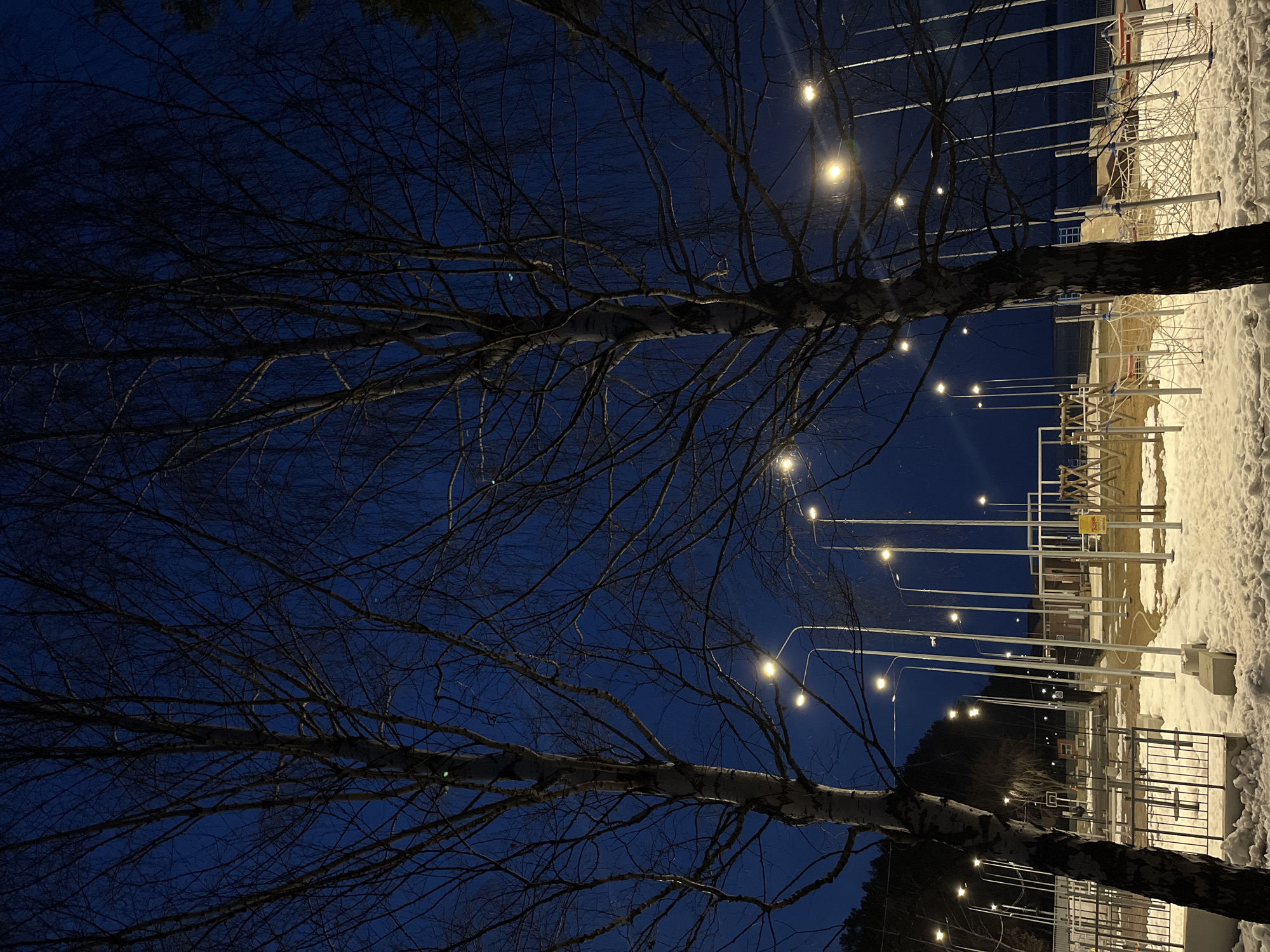 The image depicts a snowy, nighttime scene in Chaikovsky, Russia. Two birch trees with bare branches frame the view, reaching towards a dark blue sky. Strings of lights are strung between lampposts and other structures in the background, illuminating a snow-covered area with metal fences and a simple structure. The scene suggests a park or public space in the city during winter.