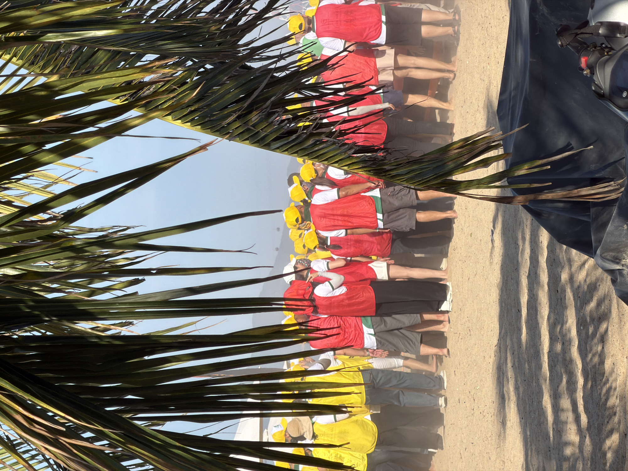 The image shows a group of people on a sandy area, possibly a beach, in Nha Trang Ward, Vietnam. The people are wearing brightly colored vests and yellow caps, suggesting they are part of an organized event or group. Some are facing away from the camera, while others are partially visible. Palm fronds hang from the top of the frame, obscuring some of the view and casting shadows on the sand. The background shows a hazy sky and distant hills. The overall impression is of an outdoor gathering in a warm, sunny climate.