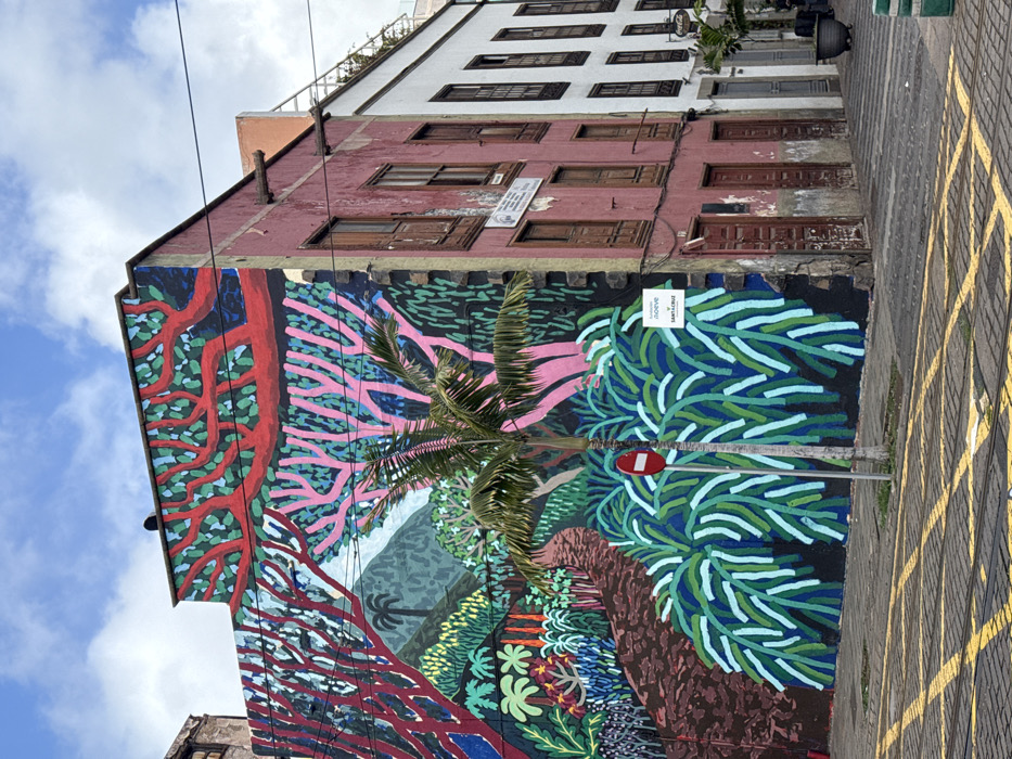 A vibrant street scene in Santa Cruz De Tenerife, Spain, is captured on a cloudy day, featuring a multi-story building adorned with a large, colorful mural. The image is taken from a slightly low angle, looking up towards the building and sky.
The lower section of the building features a striking, stylized mural depicting a dense, lush jungle landscape. The mural is characterized by bold outlines and a vivid palette of reds, pinks, blues, various greens, and browns, forming abstract trees, foliage, and distant mountains. A real palm tree stands in front of the mural, its fronds partially obscuring the painted scene, creating an interesting interplay between nature and art. The upper part of the building, above the mural, is painted a reddish-brown with multiple dark windows, some fitted with closed wooden shutters, and several basic wooden doors. Above this, the top section of the building is white with more windows.
In front of the mural, a cobbled or patterned pavement features bright yellow grid markings, typically used to indicate a no-stopping or restricted parking zone. A red circular "do not enter" sign on a pole is also visible near the pavement. Overhead, several electrical wires stretch across the scene against a bright blue sky dotted with white clouds, suggesting daytime.
Visible text on a white sign within the mural includes "joaoe" (likely the artist's signature), "ayto. sc de tfe" (referring to Ayuntamiento Santa Cruz de Tenerife), and "SANTA CRUZ". A rectangular white plaque with illegible text is also present on the reddish-brown section of the building, just above the mural. The scene combines urban architecture with lively public art, creating a distinct visual atmosphere.