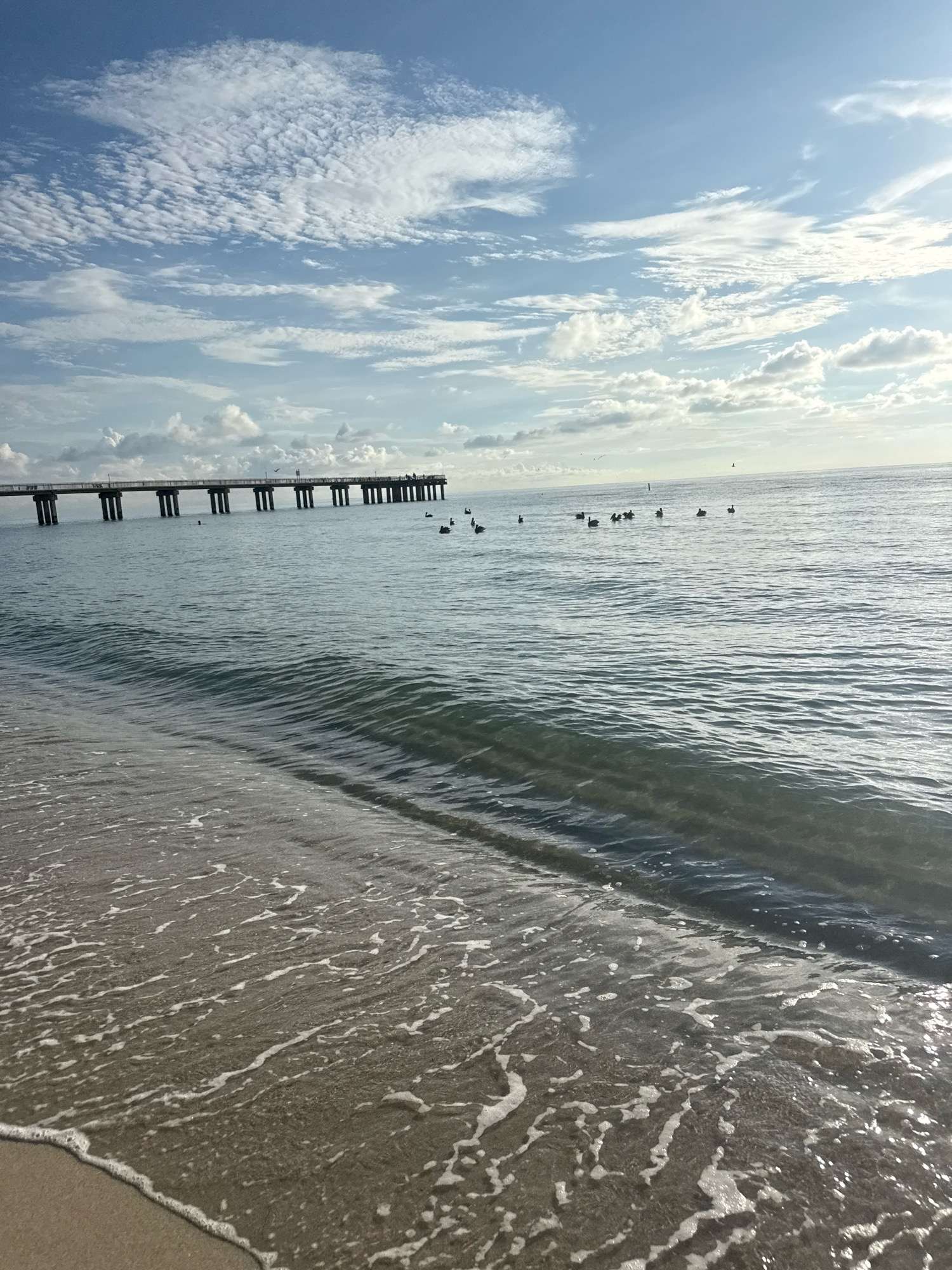 A pier extends into the ocean from Sunny Isles Beach, Florida, under a sky filled with scattered clouds. The water is calm, with gentle waves lapping at the sandy shore. Several pelicans are visible in the water near the pier, and a few people are walking on it. The sun is shining, creating a bright and serene atmosphere.