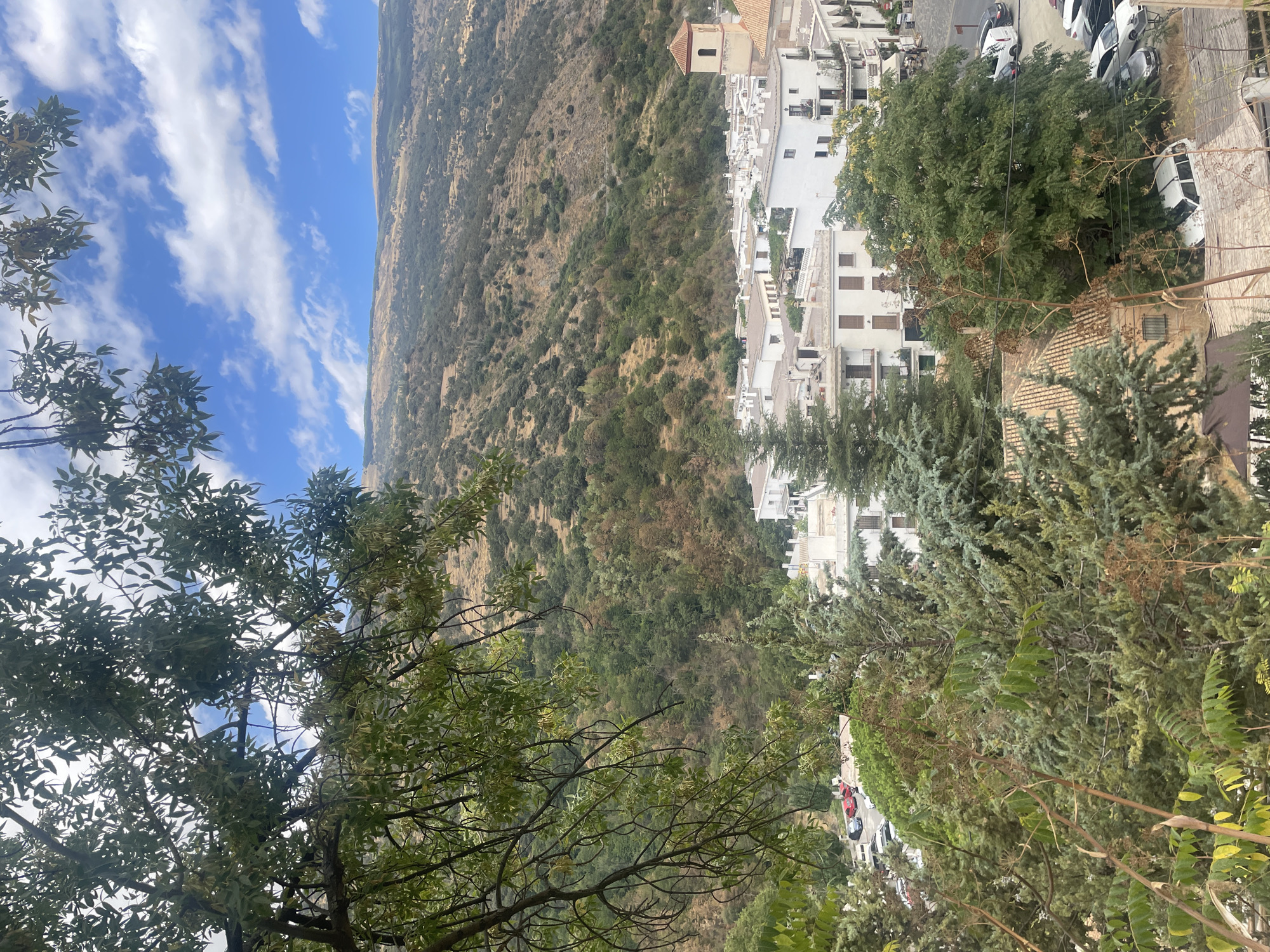 The image shows a view of the town of Pampaneira, Spain, from a higher elevation, looking down at the village and the surrounding hills. In the foreground, lush green trees and branches partially obscure the view, with some leaves appearing dried and brown. Below the foliage, a cluster of white buildings with terracotta roofs forms the heart of the village. A church tower with an orange tiled roof and a bell opening stands out amongst the buildings. The streets are lined with parked cars, suggesting an active community. The background is dominated by a steep, arid hillside covered in sparse vegetation and a few scattered trees. The sky above is a vibrant blue, dotted with white cumulus clouds. The overall impression is of a sun-drenched, traditional Spanish village nestled within a rugged natural landscape.