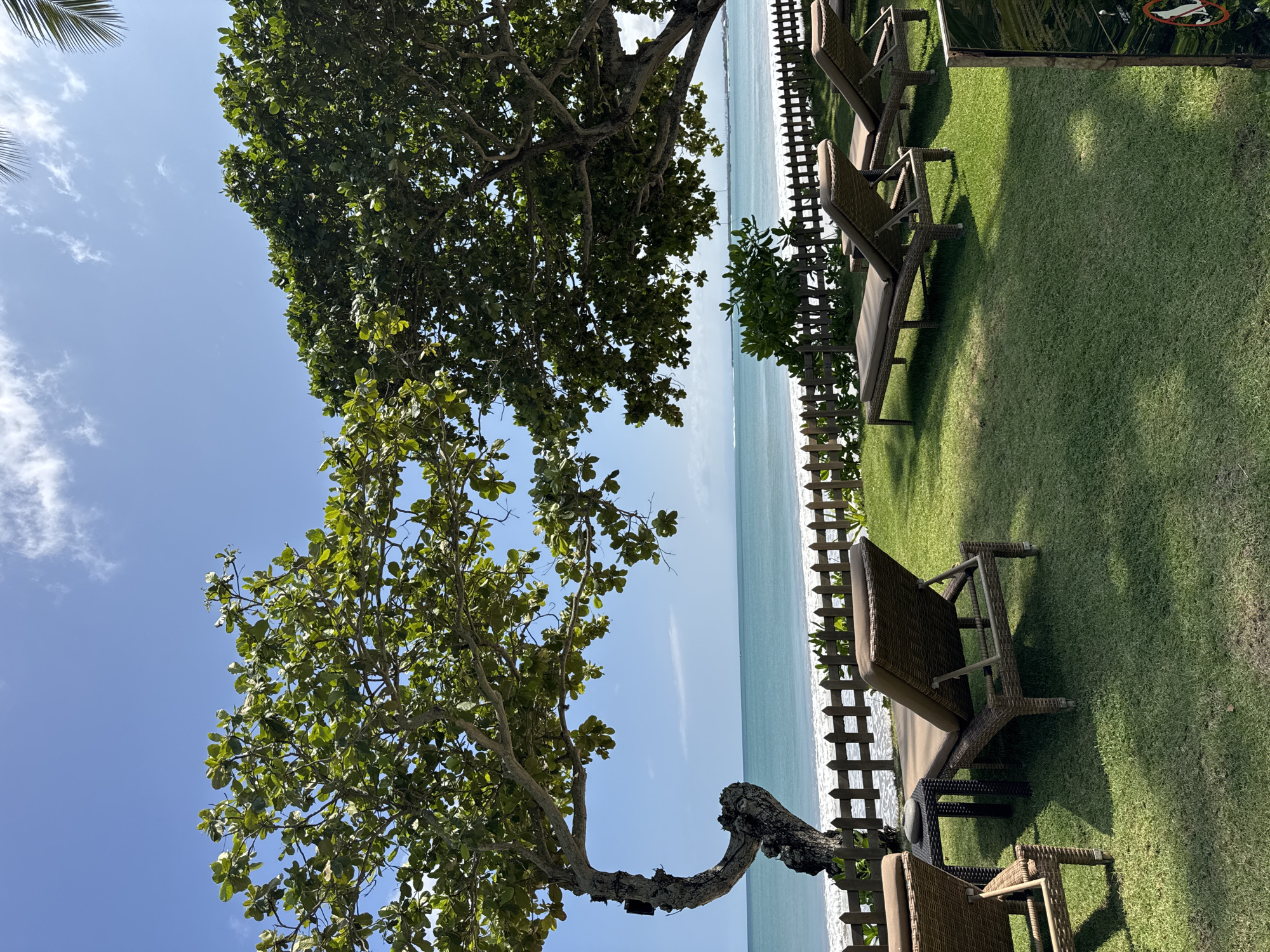 This photograph depicts a coastal scene in Kuta Selatan, Indonesia, featuring a manicured lawn area adjacent to the beach. Several lounge chairs with wicker frames are arranged on the grass, separated from the beach by a low wooden fence. Two mature trees with broad canopies provide partial shade over the area. The ocean is visible beyond the fence, appearing calm with light turquoise water. The sky is clear blue with a few scattered clouds. The image composition suggests a tranquil resort or private beach setting.