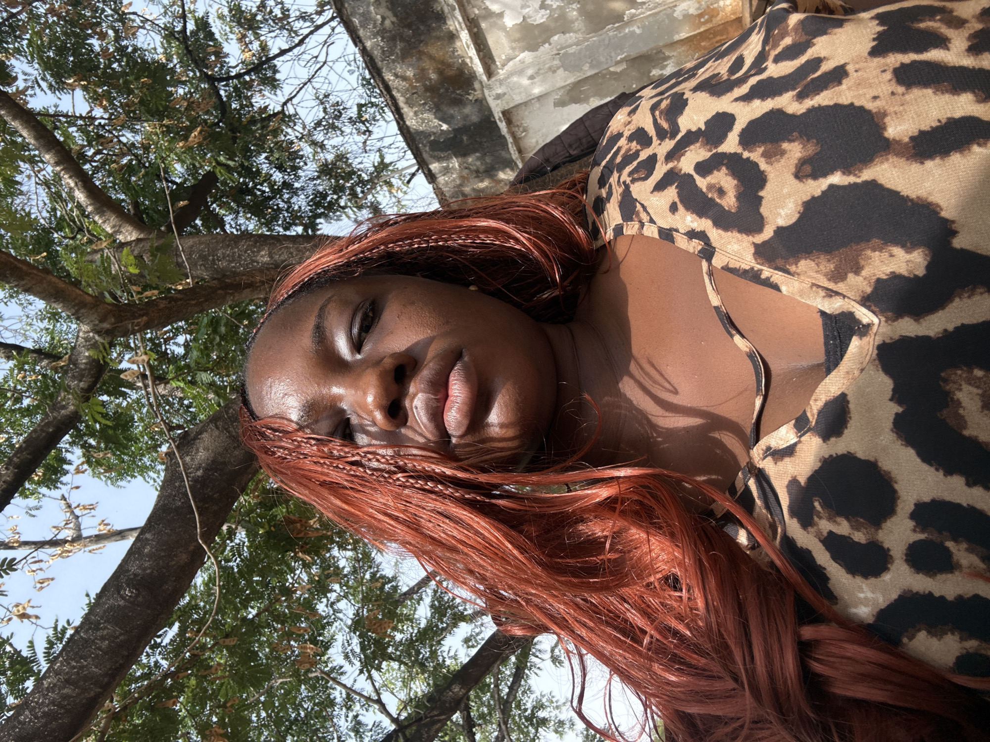 A portrait-style image captures a dark-skinned woman looking upwards, illuminated by strong daylight. She has long, reddish-brown hair, styled in a combination of braids and loose waves. She is wearing a leopard print top, visible across her chest and shoulder. Her face is angled slightly, with her eyes partially closed, suggesting a relaxed expression or perhaps squinting against the sun. Her skin appears glossy, reflecting the bright light.
The setting is outdoors, beneath the canopy of large trees with green foliage and some dried leaves or seed pods. Patches of clear blue sky are visible through the branches. In the background, above her right shoulder, there is a weathered concrete structure, possibly a building or wall, with flaking paint, indicating an older or rustic environment.
The strong, direct sunlight creates prominent highlights on her face and collarbone, and distinct shadows are cast across her neck and chest, enhancing the depth of the image. The time of day appears to be sunny, likely mid-day or afternoon. No text is visible in the image. The scene is consistent with an outdoor setting in Abuja, Nigeria.