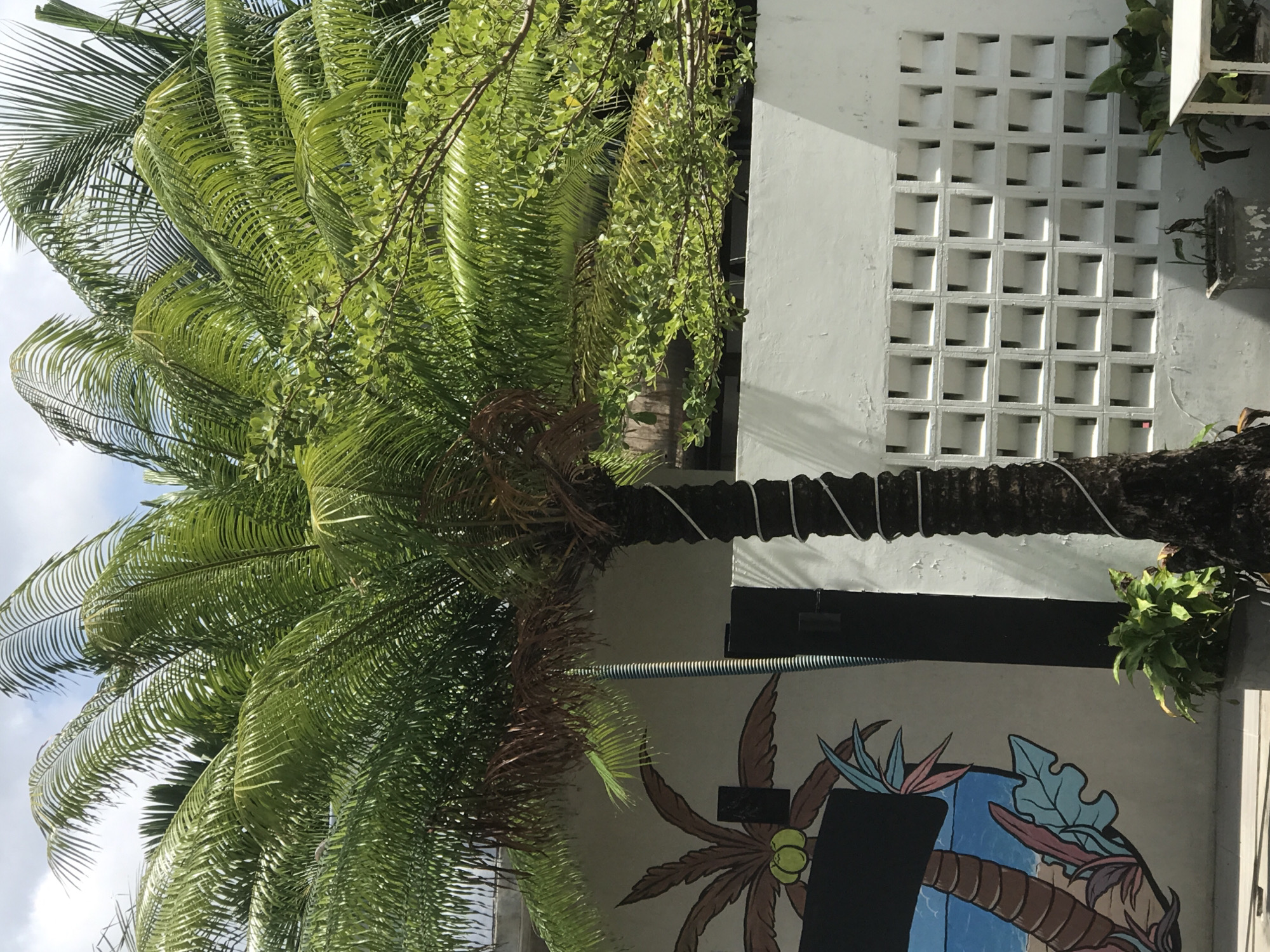 A palm tree with green fronds and a brown trunk is in the foreground of the image. The trunk of the palm tree is wrapped with white rope. Behind the palm tree is a white wall with a decorative lattice pattern. To the left of the palm tree is a mural of a palm tree with coconuts. A black door is visible behind the palm tree and to the right of the mural. In the background, there are more palm trees and green foliage. The sky is blue with white clouds. The scene appears to be outdoors in a tropical or subtropical climate. This scene is located in Keudeteupinpunti, Indonesia.