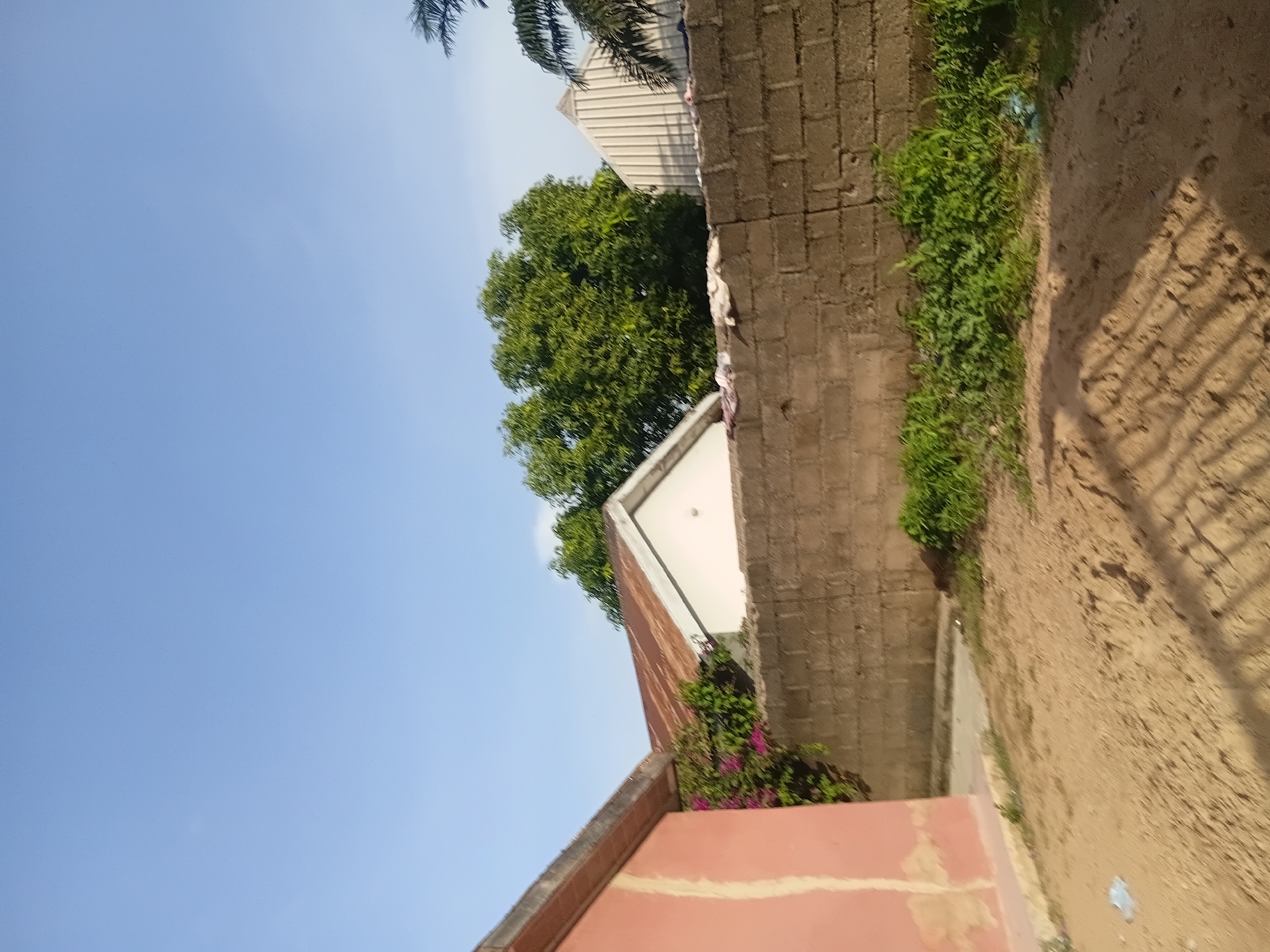 The image depicts an outdoor scene with several structures and vegetation under a clear blue sky. In the foreground, there is a patch of sandy ground with some shadows cast across it. To the left, a portion of a building with a salmon-colored wall is visible, extending to the edge of the frame. Behind this building, a wall constructed from concrete blocks runs horizontally across the midground.
Beyond the block wall, there are multiple buildings. To the left of the image, partially obscured by foliage, is a building with a rusty, corrugated metal roof. To its right is another structure with a white facade and a pitched roof. Further to the right, a building with a ribbed metal roof is visible, and a palm tree is present to the far right. Lush green trees are situated behind the block wall, with some flowering plants in shades of pink visible near the building with the rusty roof. The environment appears to be a residential area in Jalingo, Nigeria.