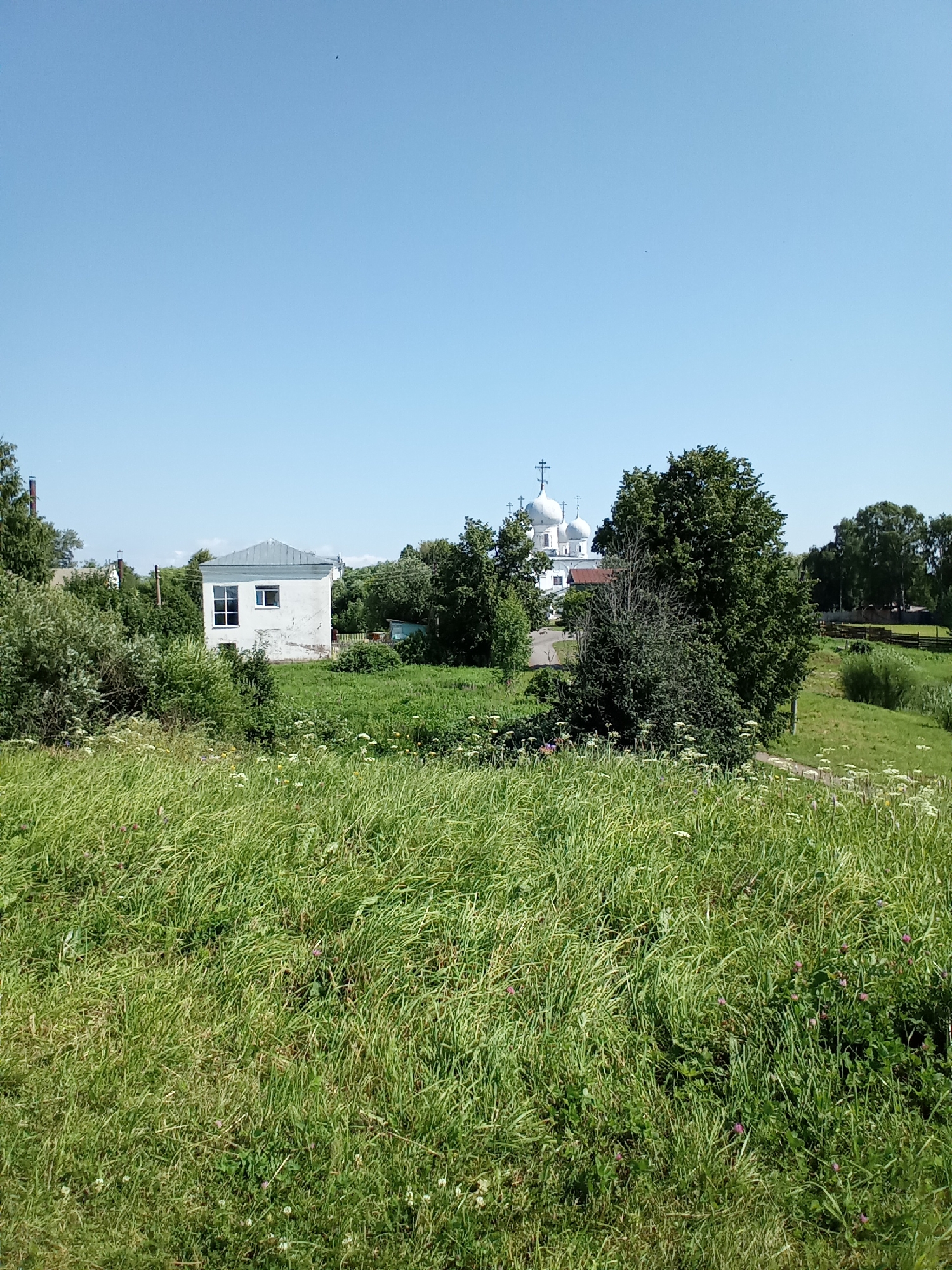 The image depicts a sunny day scene in Belozersk, Russia, with a clear blue sky dominating the upper portion. In the middle ground, a white, two-story building with a grey roof is visible, surrounded by lush green trees and foliage. To the right of this building, a white church with multiple domes and crosses stands prominently, a key landmark. The foreground is filled with tall, green grass dotted with small white and pink wildflowers. The overall environment suggests a rural or semi-rural setting, possibly a park or the grounds of a religious institution, with a sense of tranquility. No people are visible in the image.