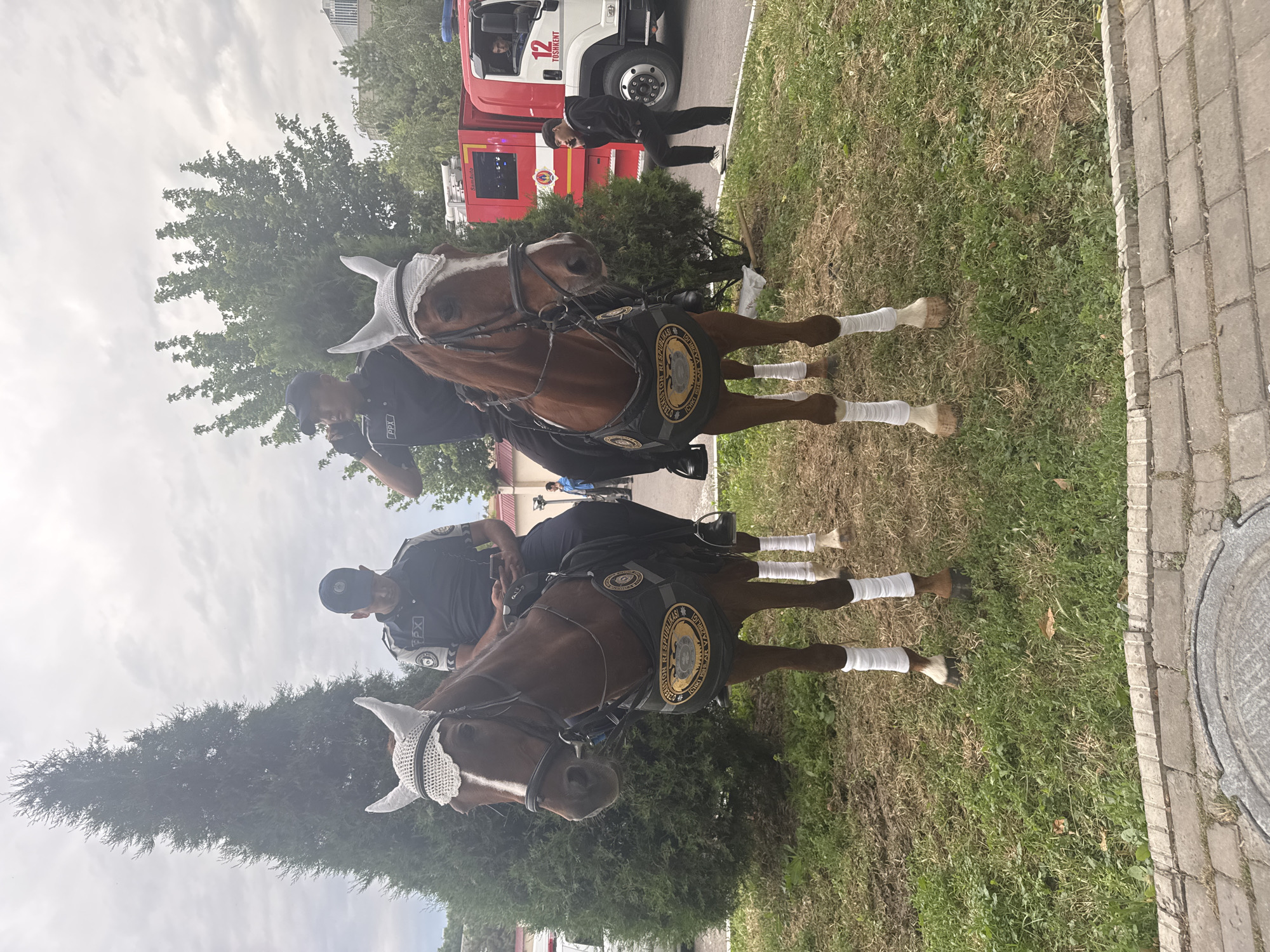 Two mounted police officers are on horseback, standing on a patch of grass beside a paved walkway. Both horses are dark brown with white socks on their legs and white, net-like head coverings. The officers, dressed in dark uniforms with police insignia, are seated atop the horses, and the horses have saddle pads with circular emblems. A red fire truck with the number "12" and the word "TOSHKENT" is visible in the background, along with a tree and a building. One person is outside of the truck talking. The scene is likely in Tashkent, Uzbekistan, given the text on the fire truck. The sky is overcast.