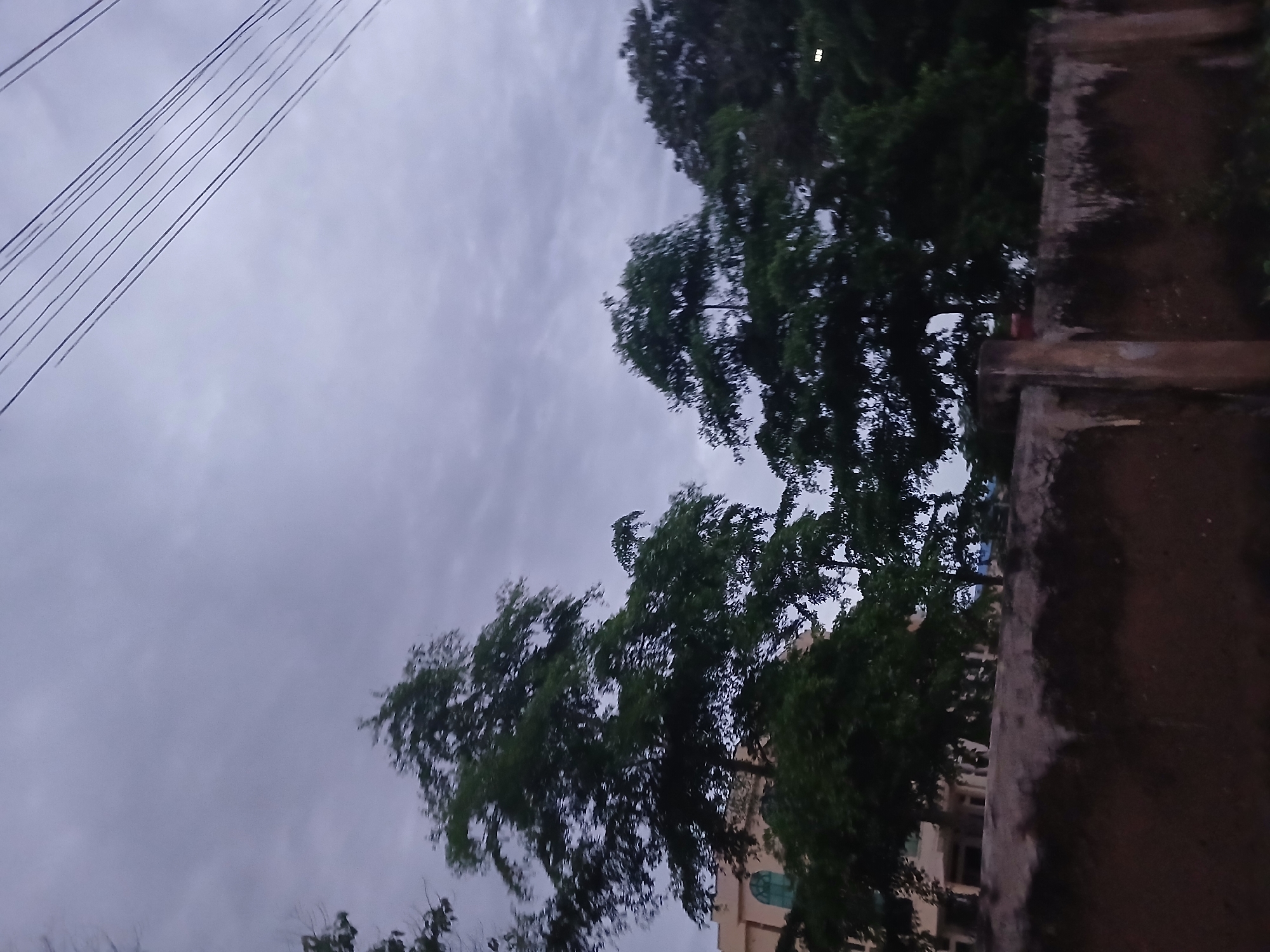 The image captures a view of trees and a building silhouetted against an overcast sky, with power lines diagonally crossing the upper right quadrant. In the foreground, a rough, textured concrete wall runs horizontally across the bottom of the frame. Behind the wall, several large trees with dense green foliage are prominent. To the left, a portion of a light-colored building with arched windows is visible, partially obscured by the trees. The scene appears to be outdoors, likely in an urban or suburban setting in Jalingo, Nigeria, given the presence of power lines and the building structure, suggesting a residential or institutional area. The lighting indicates it might be late afternoon or early evening, or a heavily overcast day. There are no people visible in the image.