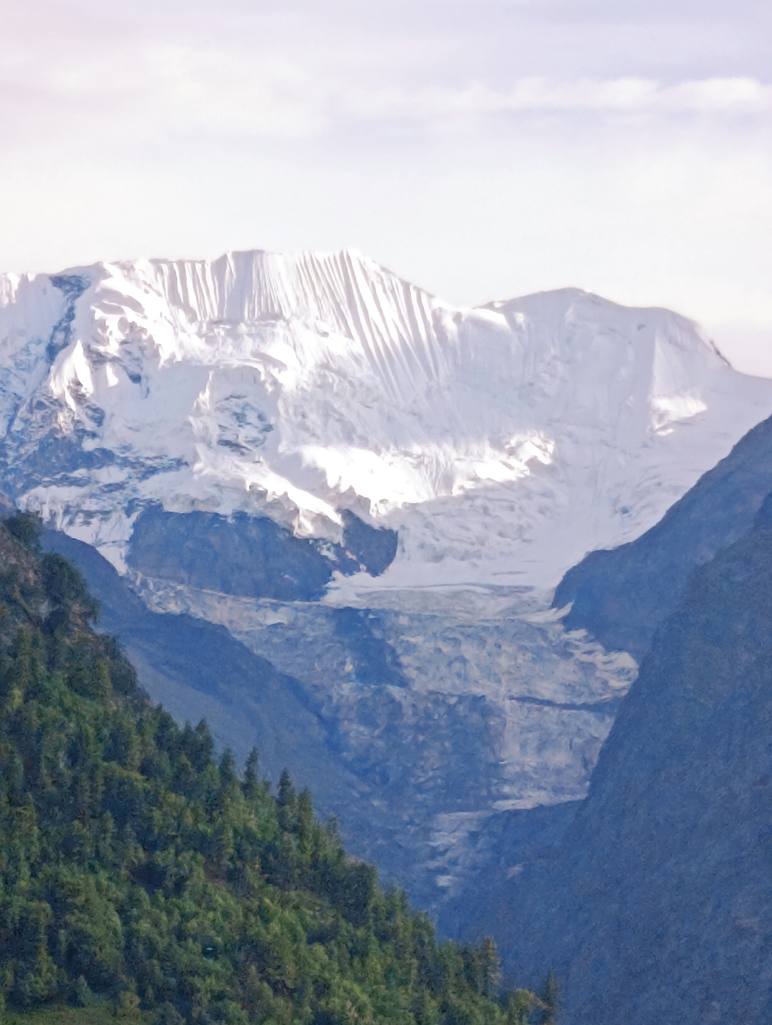 The image depicts a majestic snow-capped mountain range, likely taken from the vicinity of Gondhla, India. The foreground is dominated by a steep, densely forested mountainside, lush with dark green trees. This verdant slope gradually transitions into the rugged, blue-grey terrain of lower mountain slopes. In the background, the towering mountains are completely covered in brilliant white snow, presenting a stark and imposing spectacle. The snow cover is textured, with visible ridges and folds suggesting the presence of glaciers or heavily snow-laden slopes. The sky above is a pale, washed-out blue, with wispy clouds that appear soft and diffused, hinting at either early morning or late afternoon light. The overall impression is one of immense natural beauty and the grandeur of a high-altitude mountain landscape.