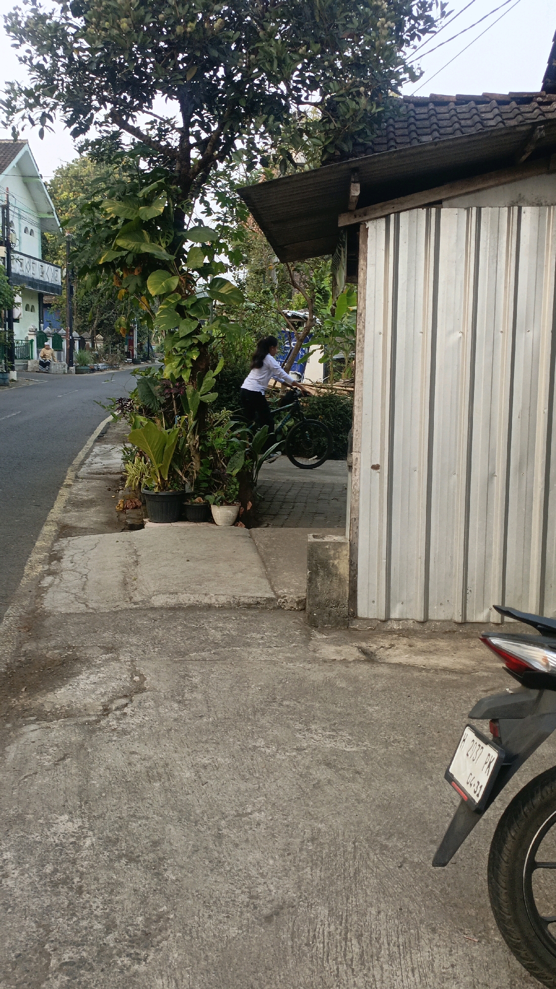 A young woman in a white shirt and black pants is riding a bicycle on a sidewalk in front of a building with a corrugated metal siding. The building is adjacent to a paved road. There is lush green vegetation, including several potted plants, growing around the building and along the sidewalk. A tree with abundant green leaves stands to the left of the building. In the foreground, the rear section of a black motorcycle is visible, with its license plate reading "H 2937 PK 04-31". The road appears to be a residential street in Salatiga, Indonesia, given the architecture of a house visible in the background. The lighting suggests it is daytime, likely late afternoon.