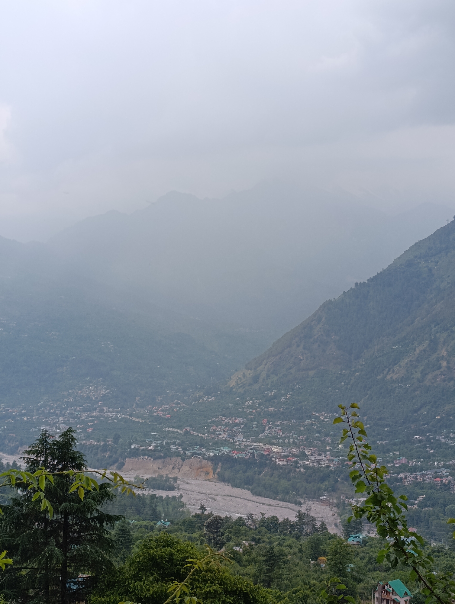 This vertical image presents an expansive, hazy landscape of a mountainous valley in Naggar, India, under an overcast sky. Layers of mountains dominate the scene, with the distant peaks appearing muted and indistinct due to significant atmospheric haze or mist. Closer mountain slopes are densely covered in rich green vegetation and trees, showcasing the natural beauty of the region.
In the mid-ground, a town or village is nestled along the valley floor, spreading across the landscape and climbing gently up the lower mountain sides. Numerous buildings, characterized by their pitched roofs and clustered arrangement, are visible within the settlement. A wide, rocky riverbed meanders through the valley, appearing shallow or partially dry.
The foreground features prominent dark green pine trees on the left side of the frame, contributing to the lush greenery. A leafy branch with brighter green foliage extends from the right into the view, adding depth and a natural frame to the composition. The sky is a uniform light gray, indicating a cloudy or overcast day, which contributes to the soft, diffused lighting and the melancholic beauty of the mist-shrouded peaks.
No people or specific activities are visible in the tranquil scene. The image captures a serene and majestic panorama of a Himalayan valley, characterized by its towering mountains, verdant slopes, and a settled human presence. There is no visible text in the media file.