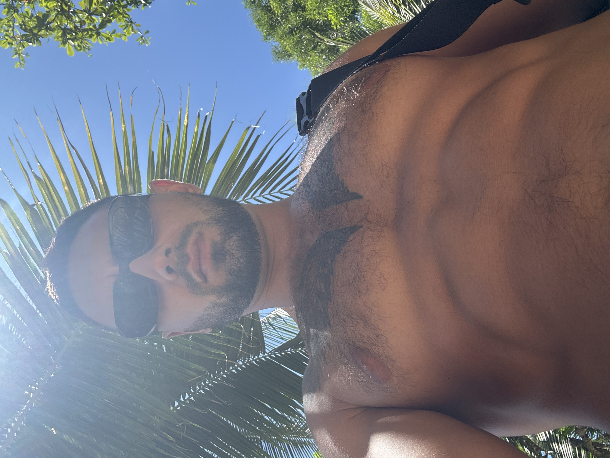A shirtless man with a tattoo on his chest is looking at the camera. He is wearing sunglasses and has a beard. He is outdoors, with palm fronds and a blue sky visible in the background. There is a black strap visible on his shoulder. The lighting suggests it is daytime and sunny.