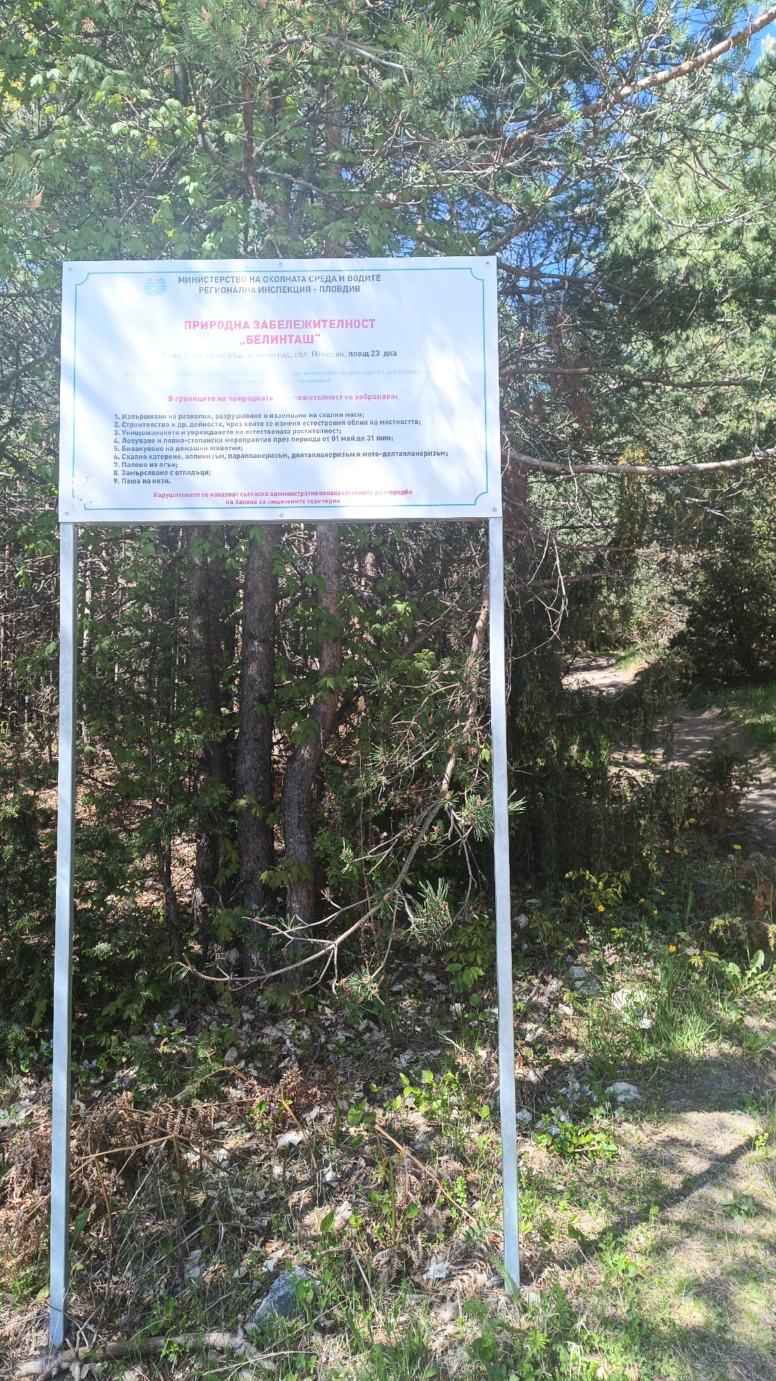 The image depicts a sign in Bulgarian designating the area as a natural landmark called "Belintash," located in the village of Sini Vrah, in the municipality of Asenovgrad, Plovdiv region, Bulgaria. The sign lists prohibited activities within the protected area, including excavation, construction that alters the landscape, damaging vegetation, hunting from May 1st to July 31st, grazing livestock, rock climbing, paragliding, lighting fires, littering, and goat grazing. The sign warns that violators will be punished according to the law for protected territories. The sign is positioned in a natural, wooded environment.