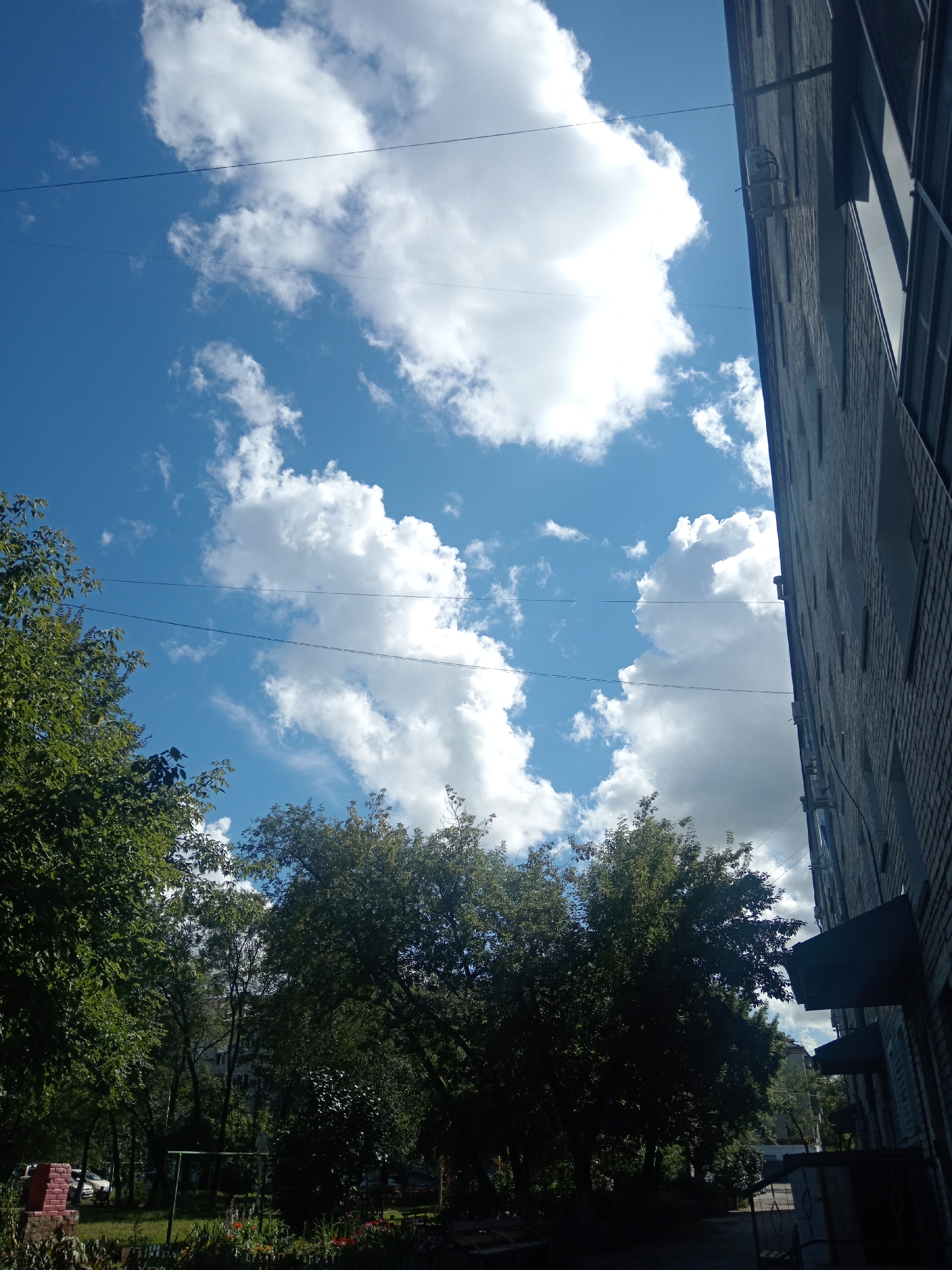 The image depicts a view of the sky, trees, and a building in Belogorsk, Russia. The sky is a bright blue with fluffy white clouds. Two thin wires are visible stretching across the sky. On the right side of the image, a tall brick building runs vertically, with windows and some external fixtures. The lower portion of the image shows a dense canopy of green trees. In the background, beyond the trees, parts of other buildings are visible. The overall scene suggests an outdoor urban environment on a clear day.