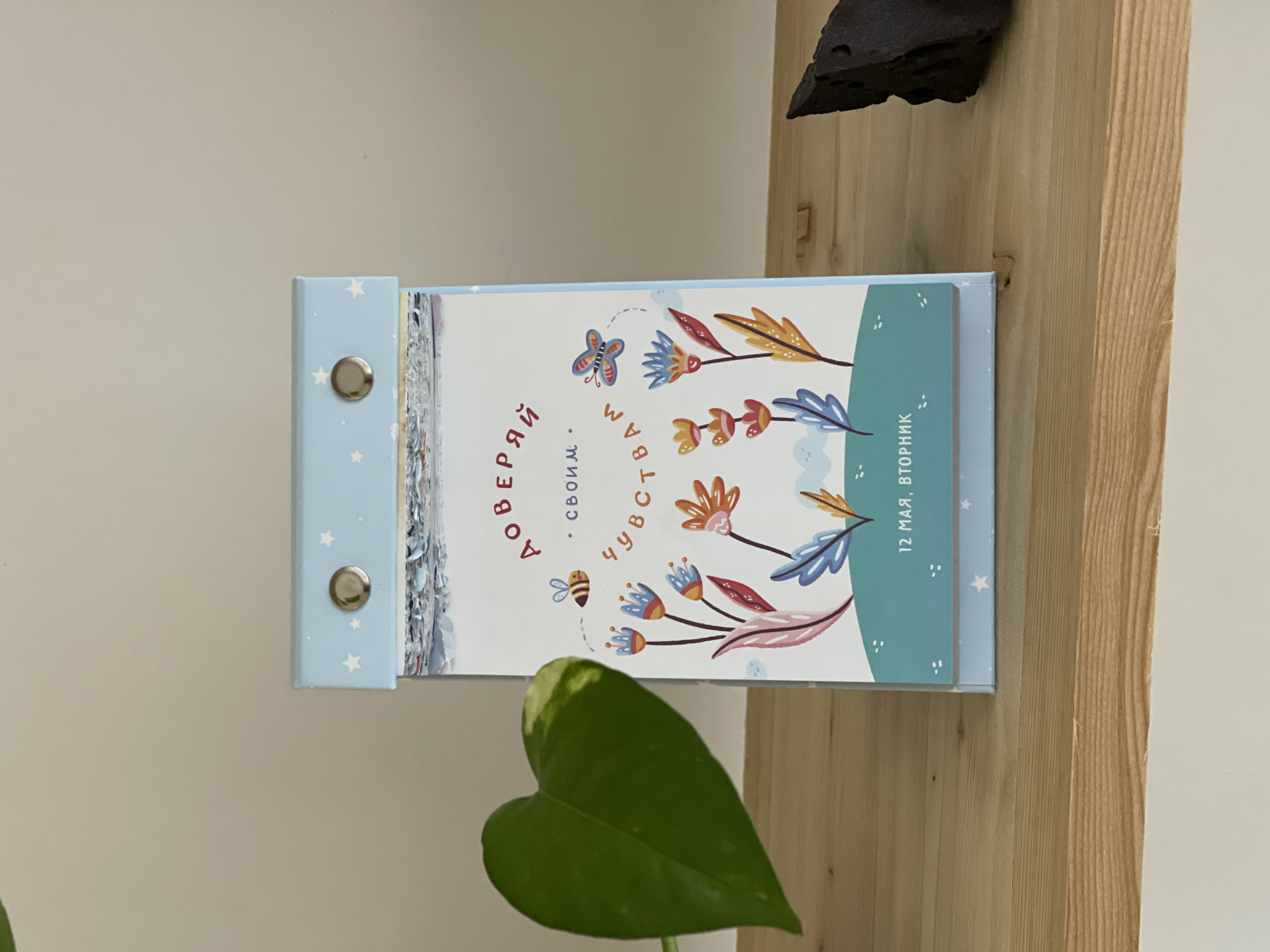 A close-up shot reveals a flip calendar resting on a wooden shelf. The calendar's cover features a light blue background with white star patterns on the left spine. The calendar's page displays the text "ВОВЕРЯЙ своим чувствам" ("Trust your feelings" in Russian), along with illustrations of flowers, a butterfly, and a bee. A light teal section with the text "12 мая, вторник" ("May 12, Tuesday" in Russian) occupies the right side of the page.
A green, heart-shaped leaf partially obscures the calendar, and a piece of black rock is visible on the shelf above it. The background consists of a plain, off-white wall.
The image does not contain information to infer the location in Izhevsk, Russia.