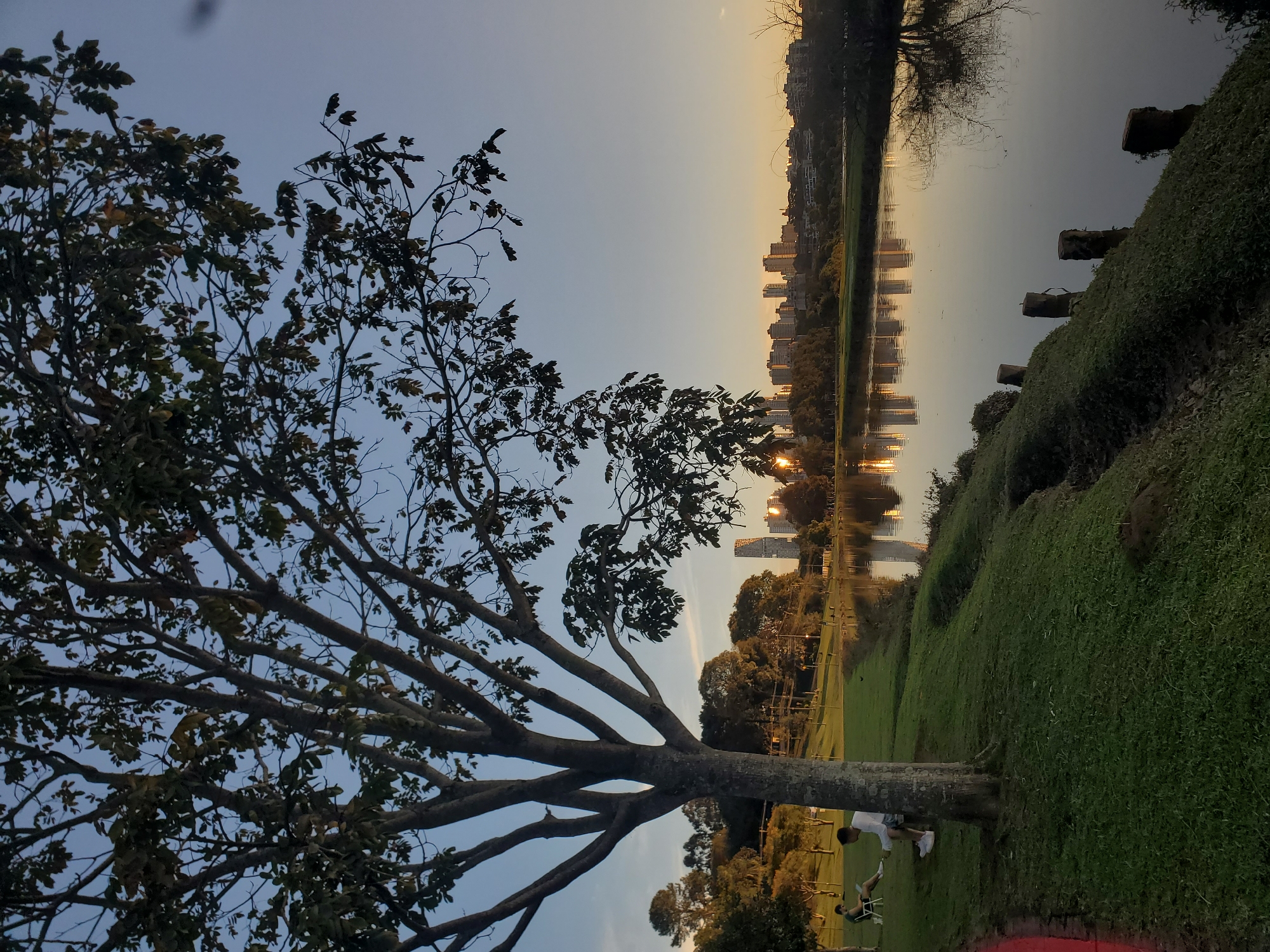 The image depicts a serene park scene in Curitiba, Brazil, likely at an unnamed urban park on a late afternoon or early evening, given the soft, warm light and the reflection of the cityscape on the water. The foreground is dominated by a large tree with dark green leaves and a textured trunk, casting shadows on the lush green grass. To the left, two individuals are seated on the grass near the tree. One person, wearing a white shirt and shorts, appears to be interacting with their phone. The other person, sitting in a chair, is looking down at something, possibly a laptop or book. The park slopes down to a tranquil lake, where the sun's rays create a shimmering reflection of the distant city skyline, characterized by numerous modern buildings. The water is calm, reflecting the clear blue sky and the trees lining the opposite bank. Several wooden posts are partially submerged along the edge of the lake, adding to the picturesque scenery. The overall atmosphere is peaceful and tranquil, suggesting a quiet moment of relaxation amidst the urban landscape.