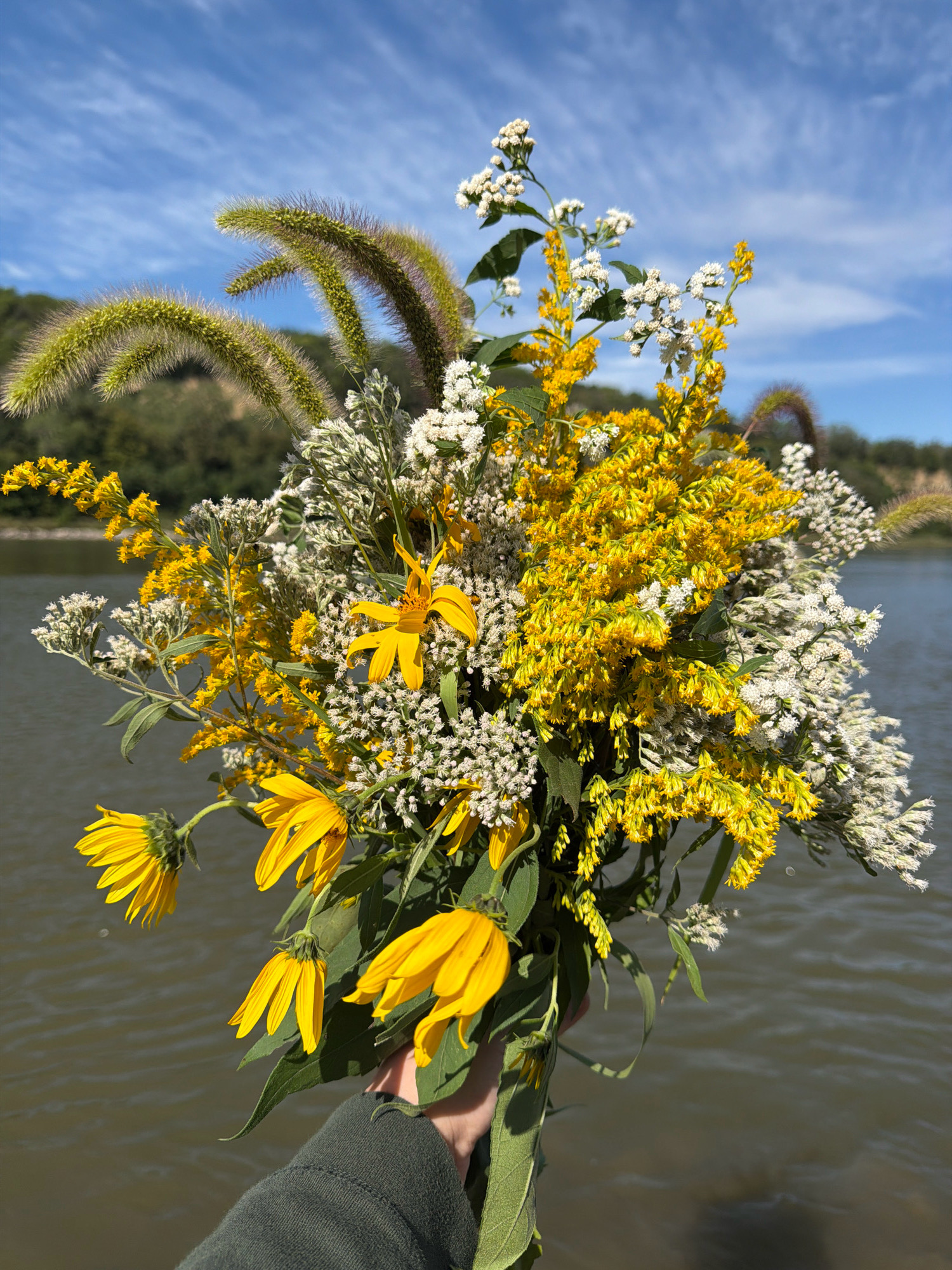 A person's arm, clad in a dark green long-sleeved shirt, holds a bouquet of wildflowers in front of a body of water. The bouquet is a vibrant mix of yellow and white flowers, with some feathery green stalks also present. The yellow flowers appear to be sunflowers and goldenrod, while the white flowers are smaller and clustered. The water is a murky green-brown, with ripples on its surface reflecting the blue sky above. The sky is a clear blue, dotted with wispy white clouds. In the background, a tree-covered hillside slopes down towards the water. The scene is bathed in natural light, suggesting it is daytime. The location is identified as Unknown, Unknown.
