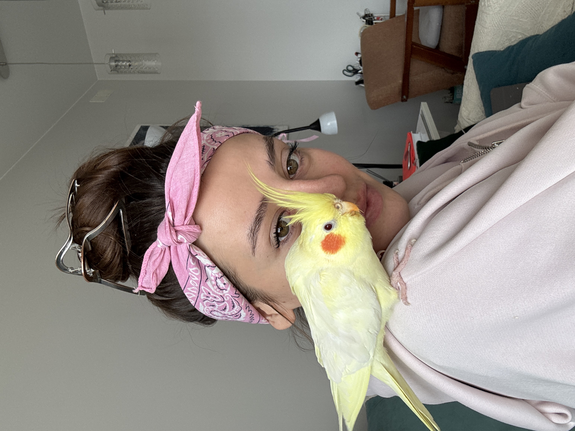 The image presents a close-up, portrait-style view of a young woman and a pet bird in an indoor setting. The woman is positioned with her head tilted, looking towards the viewer. She has dark hair styled back, secured with a silver hair clip, and a pink bandana featuring a white and black paisley pattern tied around her head. Her eyes are light brown or hazel, with visible eyelashes and eyebrows, conveying a gentle and calm expression. She is wearing a light pink top, possibly a sweatshirt.
A pale yellow cockatiel with distinctive orange cheek patches and a prominent yellow crest is perched on her shoulder, directly in front of her face. The bird appears to be interacting closely with her nose or mouth area, indicating a strong bond. Its small, pink feet are visible gripping the fabric of her top.
The background shows a domestic interior, likely a home. A light gray wall and a white ceiling with a modern light fixture are visible in the upper left. The right side of the background reveals various household items, including parts of wooden furniture, a striped pillow, a teal or dark green cushion, and a black and white lamp. A small red object and some wires are also present. The scene suggests a relaxed and intimate moment between the woman and her pet. No specific time of day or weather details are discernible, and there is no visible text.