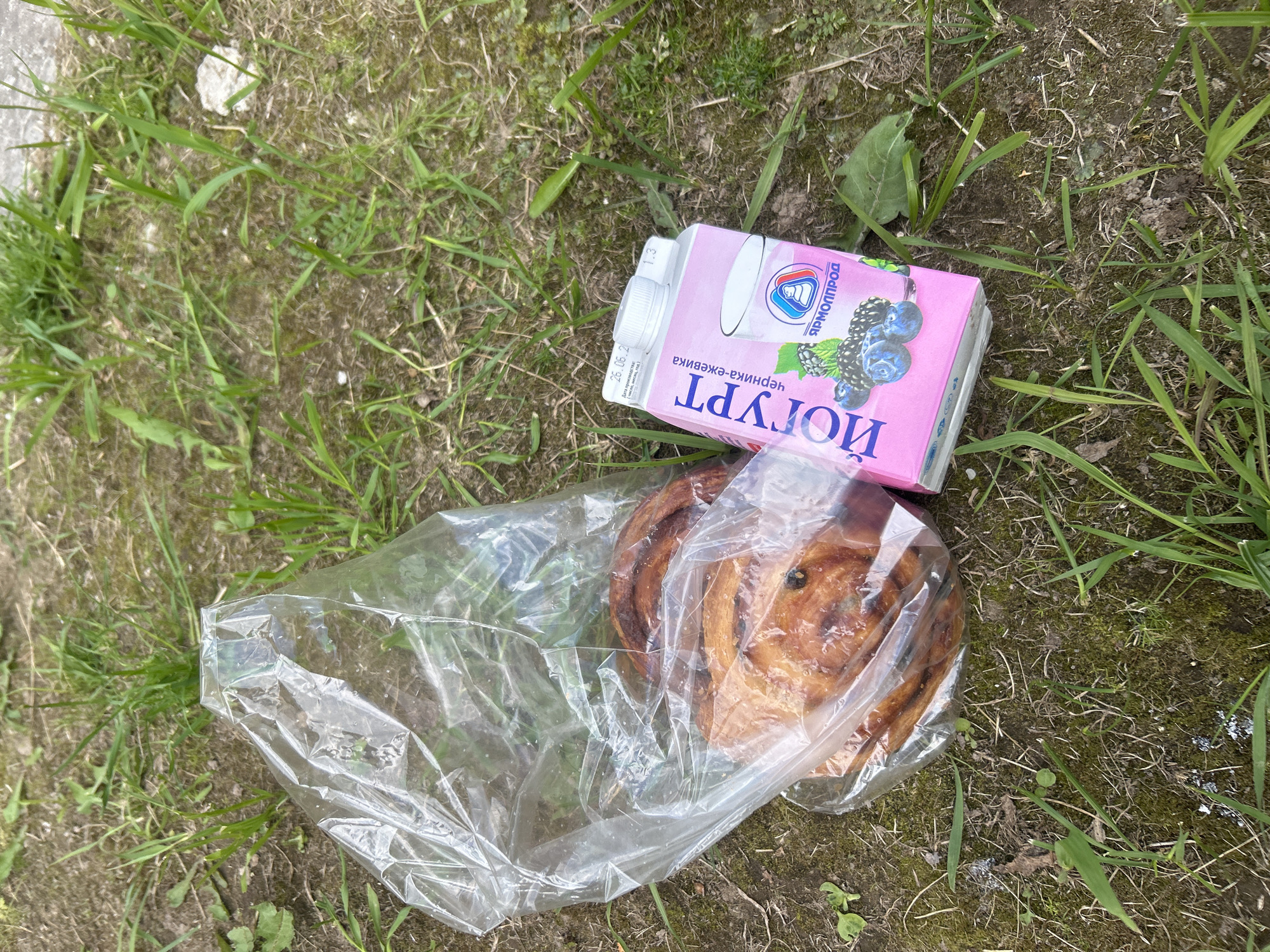 In Neverovo, Russia, on a patch of dry grass interspersed with green blades and a few small weeds, a clear plastic bag contains several baked goods, likely pastries due to their golden-brown color and visible raisins. Adjacent to the bag is a pink carton of yogurt, featuring Cyrillic text indicating "YOGURT" and "blackberry-blackberry." The carton also displays an illustration of a glass of yogurt with berries and the brand name "ЯРМОЛПРОД" (Yarmolprod). A small, white label on the carton shows a date of "26.05.21" and other production details. The ground is a mixture of soil, moss, and leaf litter. No people are visible in the scene.