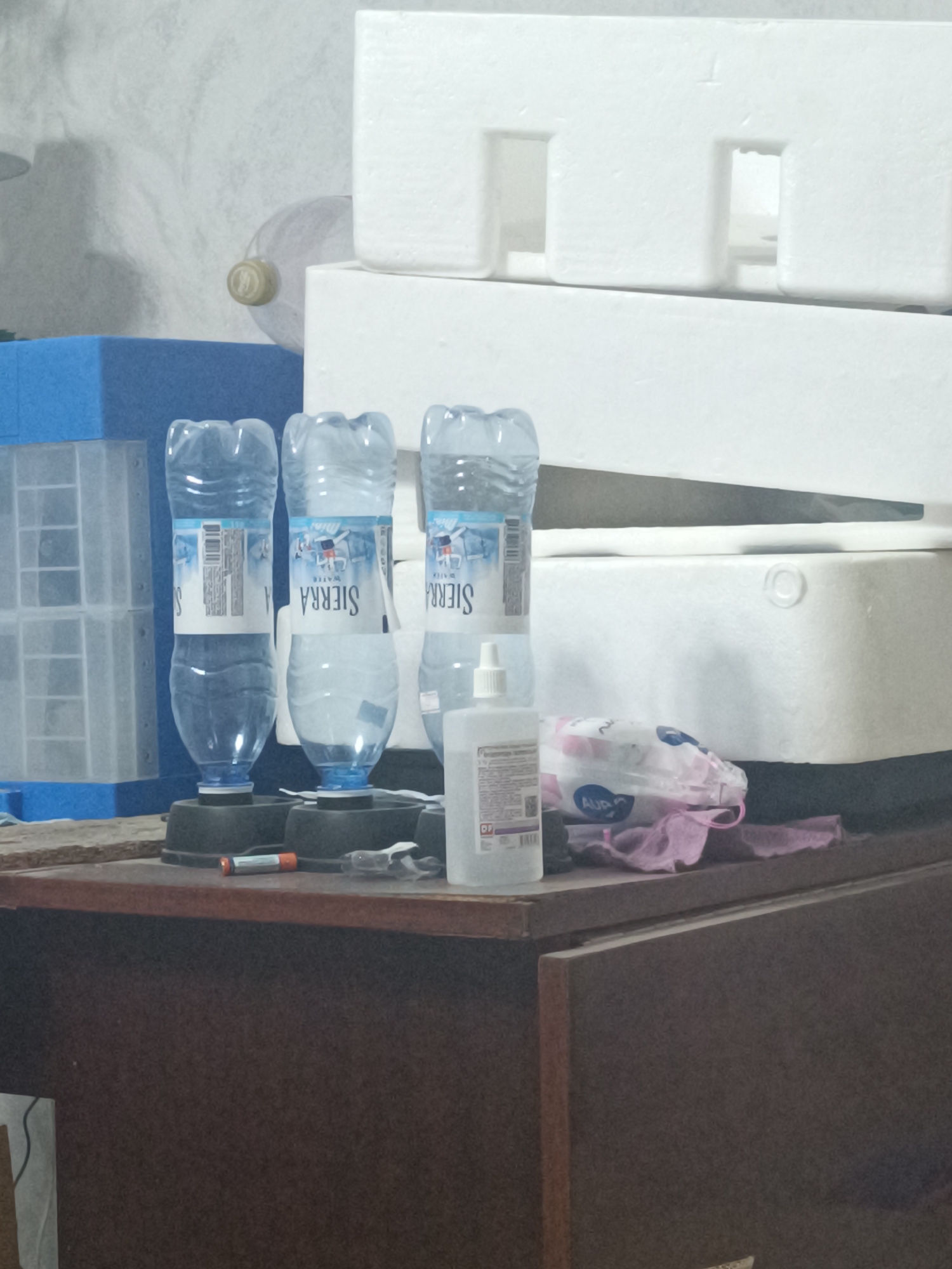 The image shows a still life composition on a wooden desk, with a light-colored, textured wall in the background. The primary subjects are three clear plastic bottles of Sierra water, standing upright on dark bases. The bottles are partially filled with clear liquid and feature white labels with blue accents. To the right of the bottles, a clear plastic bottle with a white dispenser top is visible, along with a crumpled package of what appears to be sanitary wipes or a similar disposable hygiene product, partly wrapped in pink fabric.
Behind the bottles, several large, white, rectangular objects made of a Styrofoam-like material are stacked. These objects have cutouts and are arranged to suggest a larger structure, possibly packaging or insulation. To the left of the bottles, a bright blue rectangular object, possibly made of foam or dense plastic, is visible.
The scene appears to be set indoors, likely in a storage area or workshop, given the stacked materials and the utilitarian nature of the objects. The lighting is soft and diffused, suggesting it is not direct sunlight and the time of day is indeterminate. There are no people or animals present.
Visible text on the bottles reads "SIERRA WATER". The label on the clear dispenser bottle has some smaller text, including what appears to be "DF" and other illegible print. The text on the sanitary wipe package is also largely unreadable, but a blue logo or text with "AUD" is partially visible. The overall impression is one of an organized, if somewhat cluttered, workspace.