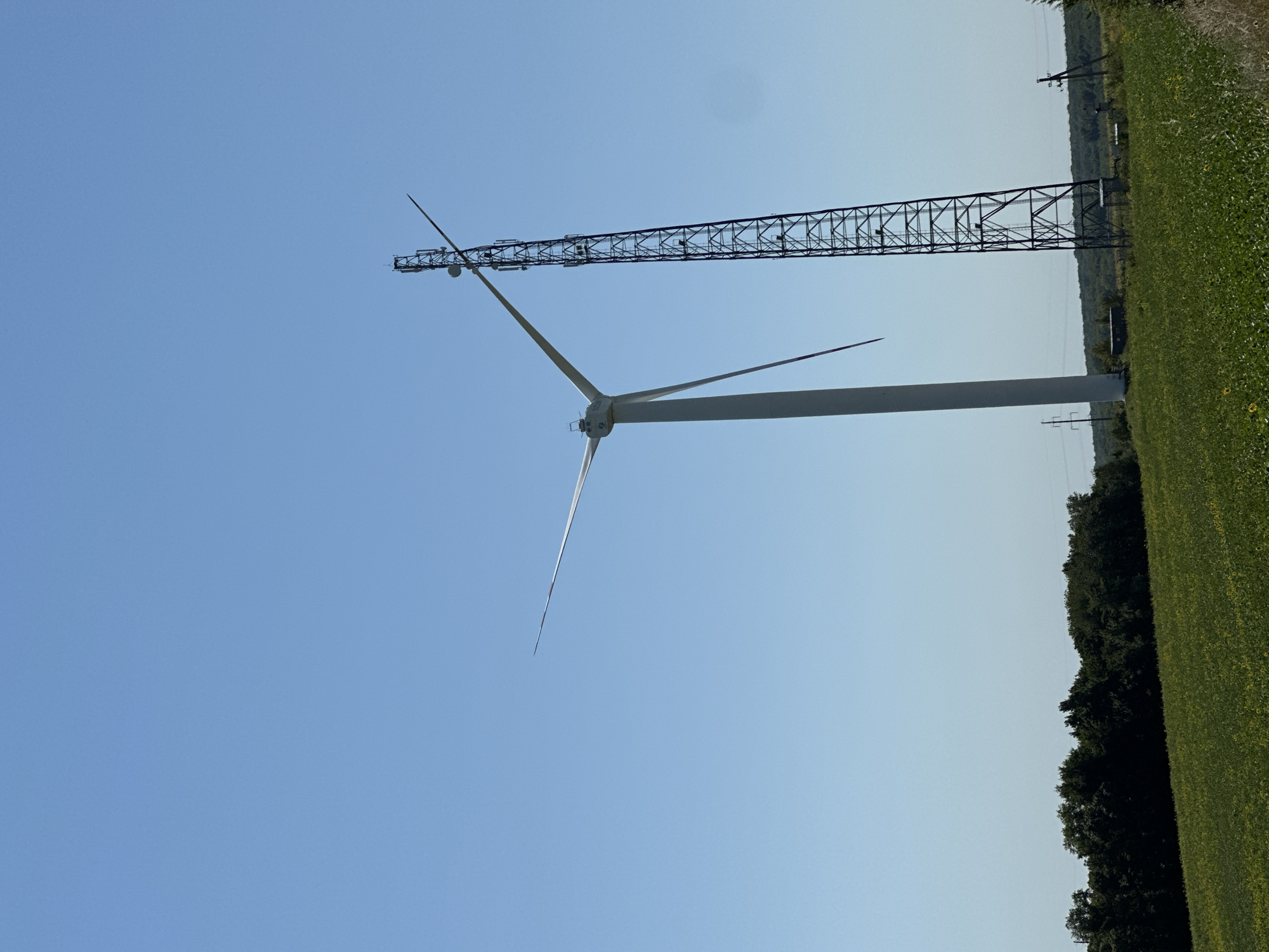 This image depicts an outdoor scene in the village of Korchivka, Ukraine, on a clear, sunny day. Dominating the frame is a tall, white wind turbine with its blades extended. To the right of the wind turbine stands a dark, latticed telecommunications tower, which appears to be taller than the wind turbine. Both structures are set against a bright blue sky.
In the foreground, a field of green vegetation, possibly crops or wild growth with scattered yellow flowers, stretches across the landscape. A line of dense, dark green trees forms a boundary at the far end of the field, separating it from a distant, undulating horizon. The ground beneath the wind turbine and telecommunications tower shows signs of infrastructure, with electrical poles and some smaller buildings or structures visible in the middle ground. The overall impression is one of rural open space with industrial elements.
